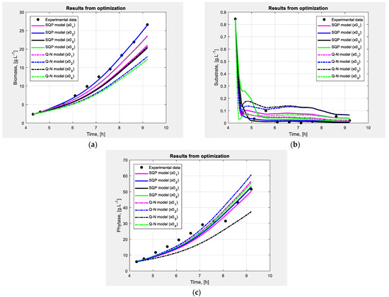Model Identification of E. coli Cultivation Process Applying