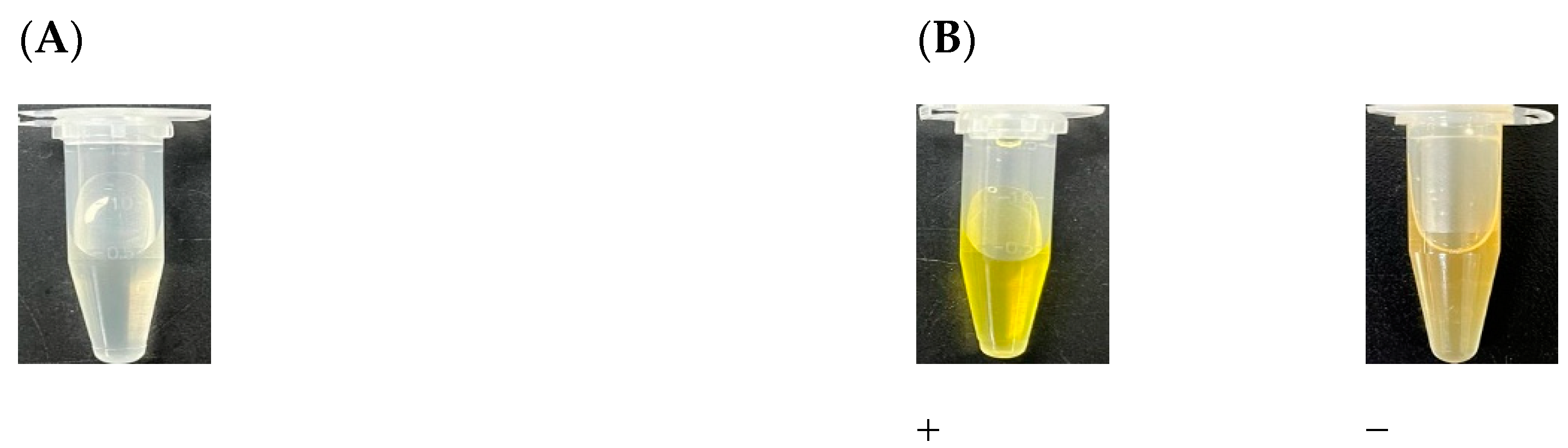 Fermentation 10 00018 g001 Fermentation 10 00018 g001