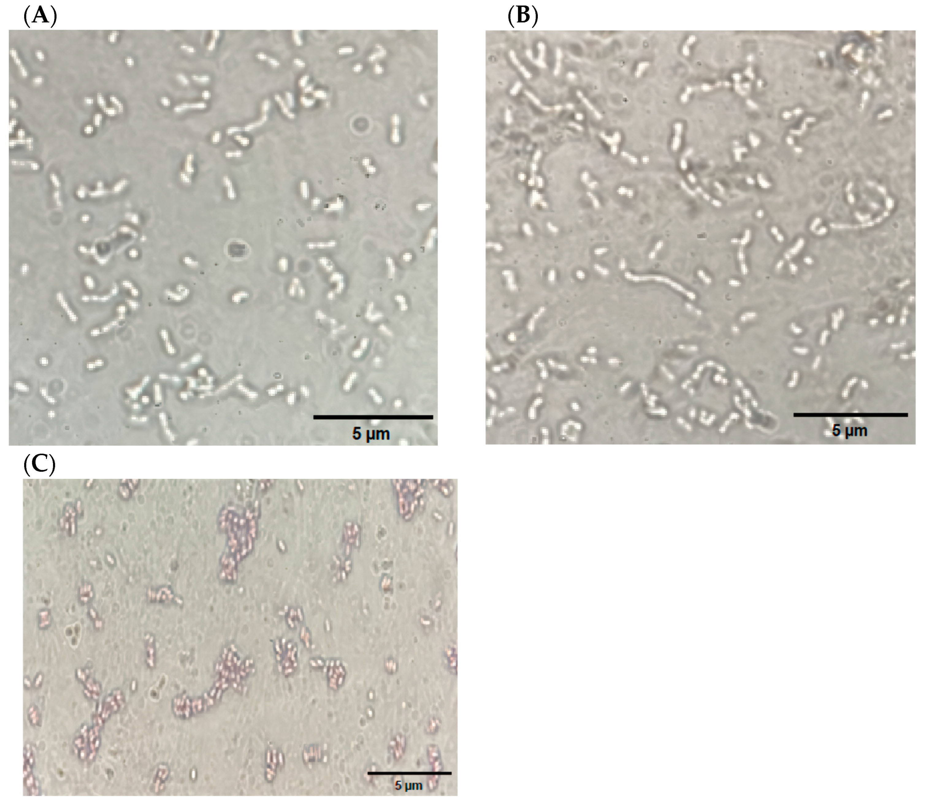 Fermentation 10 00018 g003 Fermentation 10 00018 g003