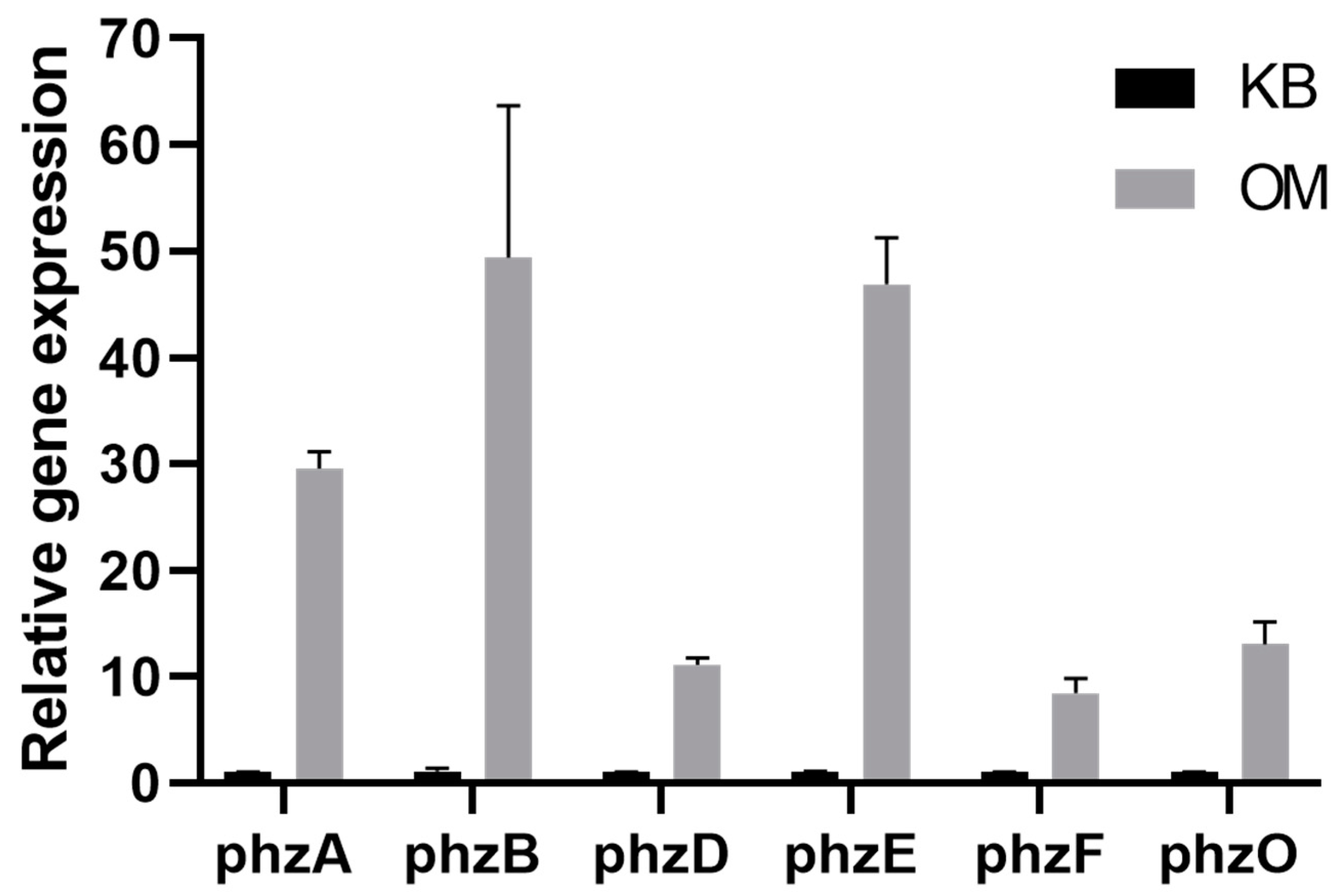 Fermentation 10 00021 g003