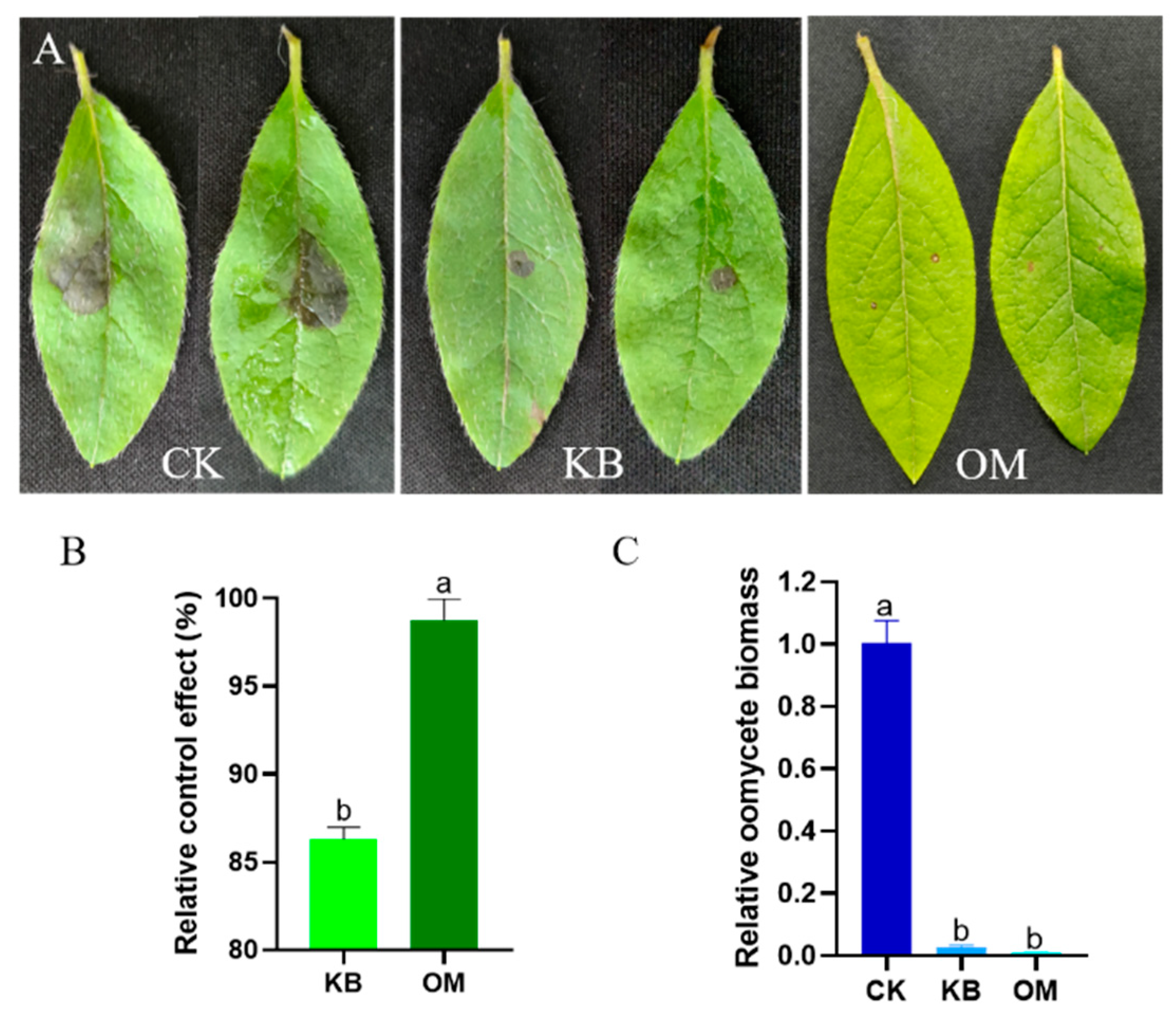 Fermentation 10 00021 g005
