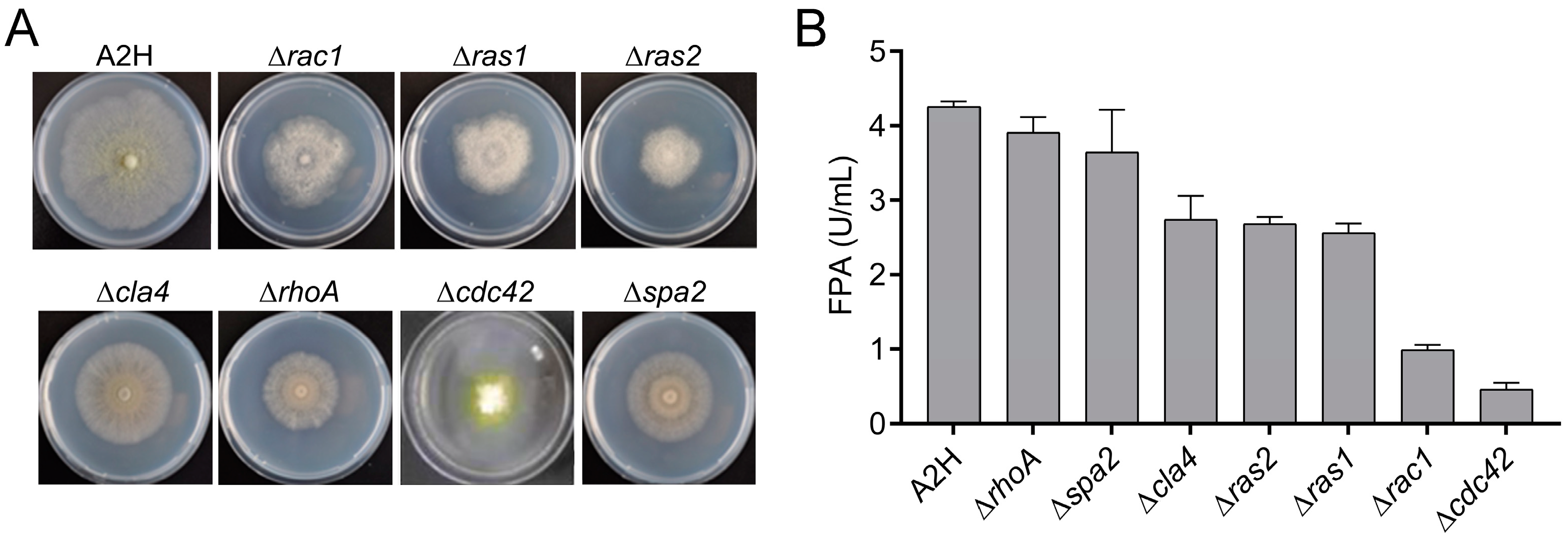 Fermentation 10 00026 g001