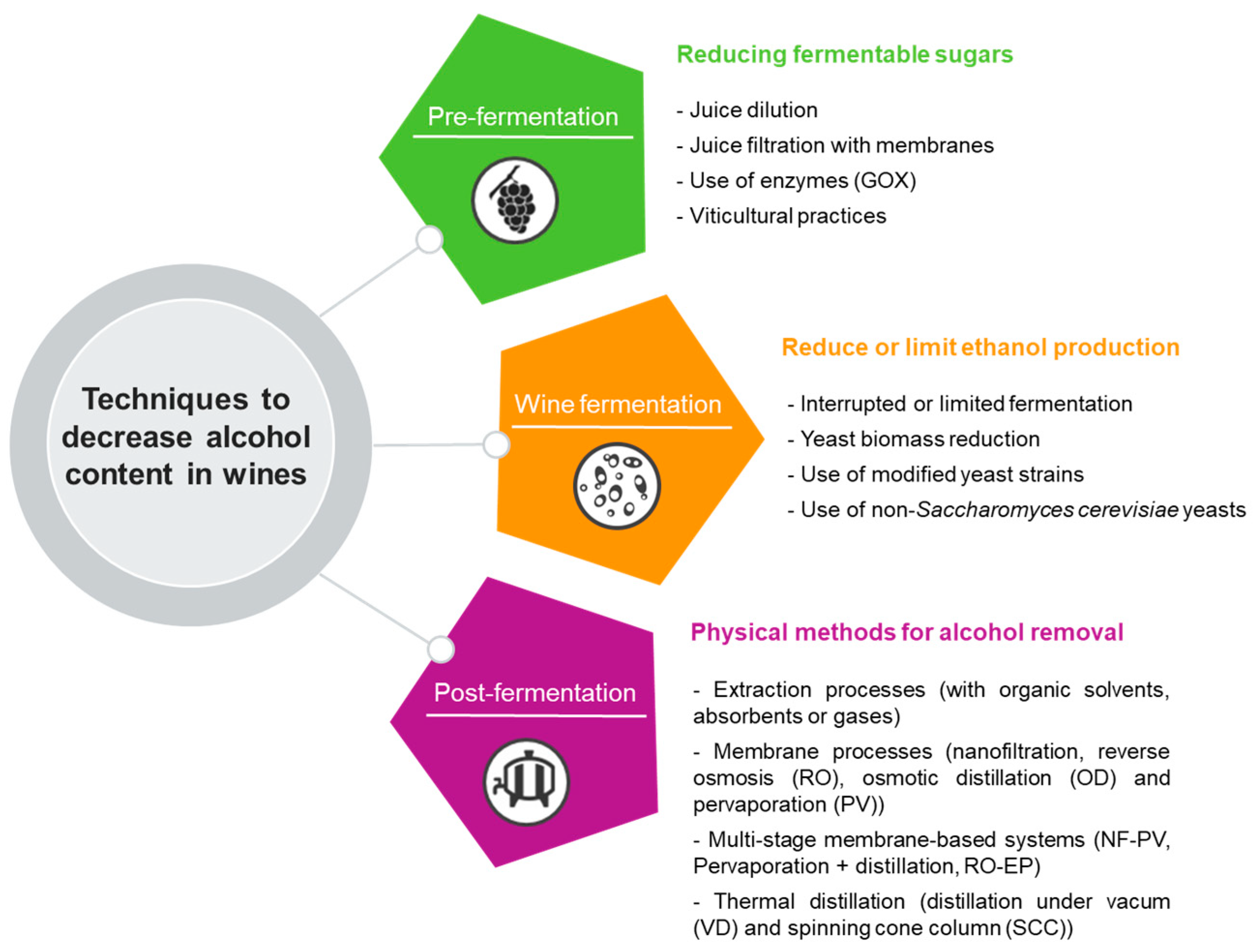 Fermentation 10 00036 g002 Fermentation 10 00036 g002