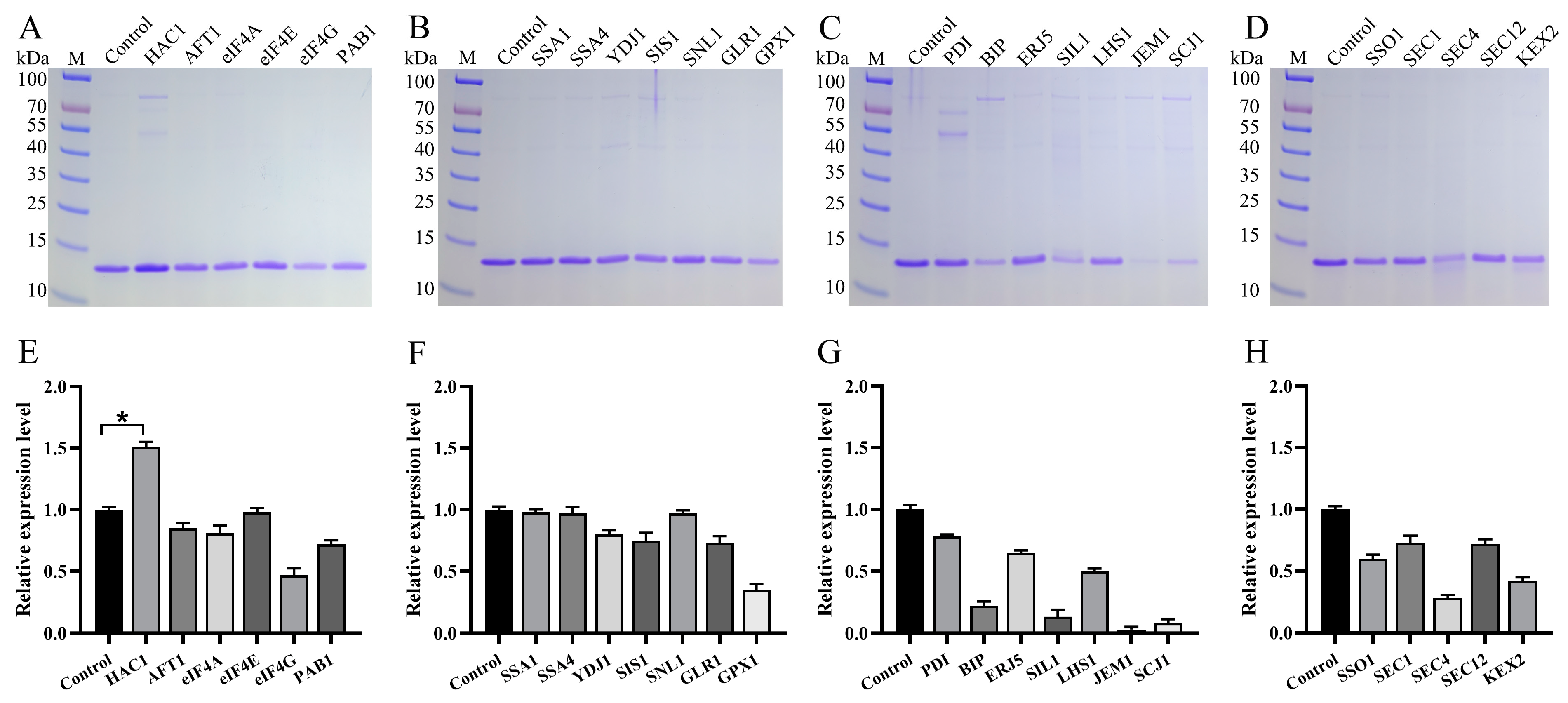 Fermentation 10 00037 g008