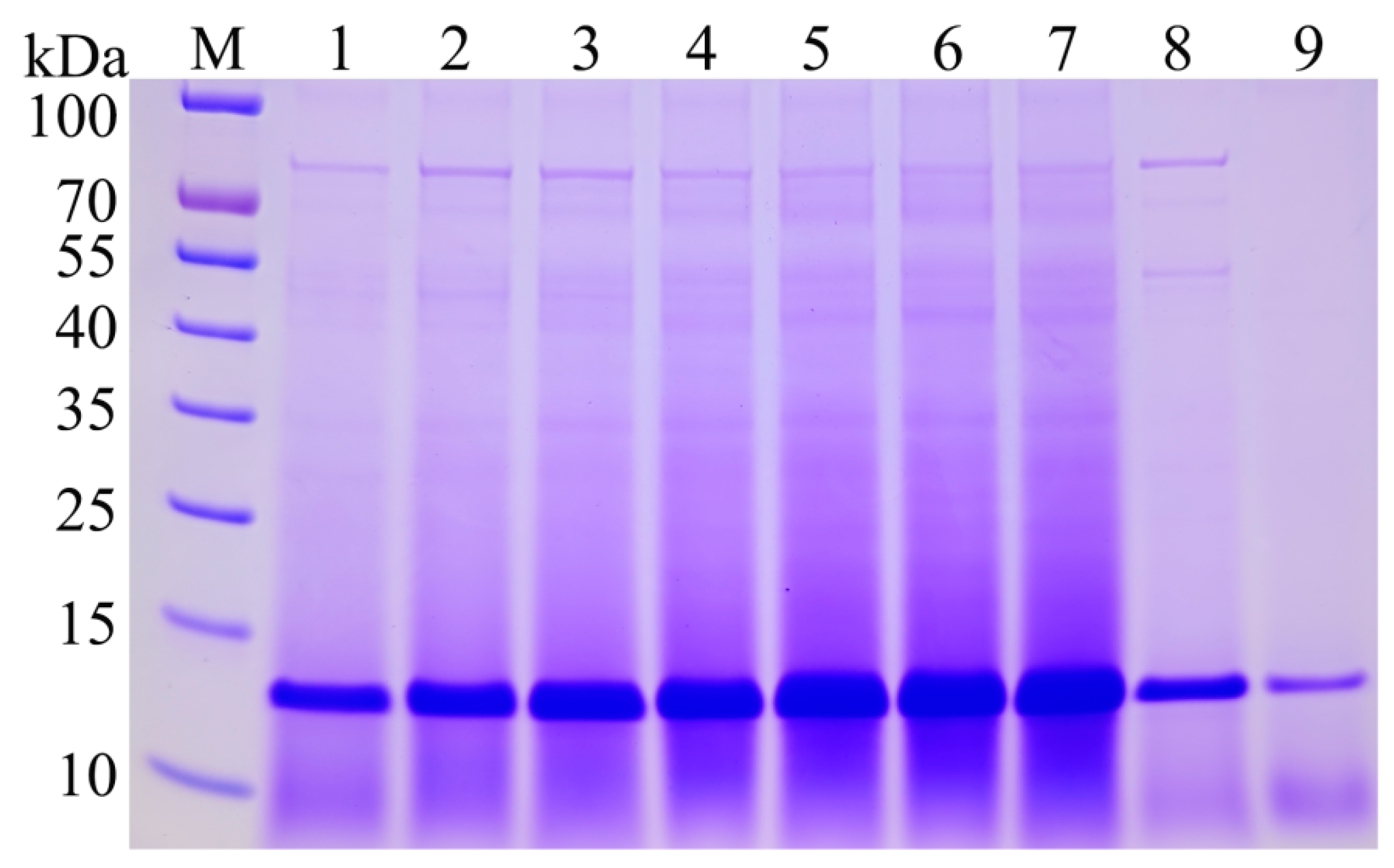Fermentation 10 00037 g010