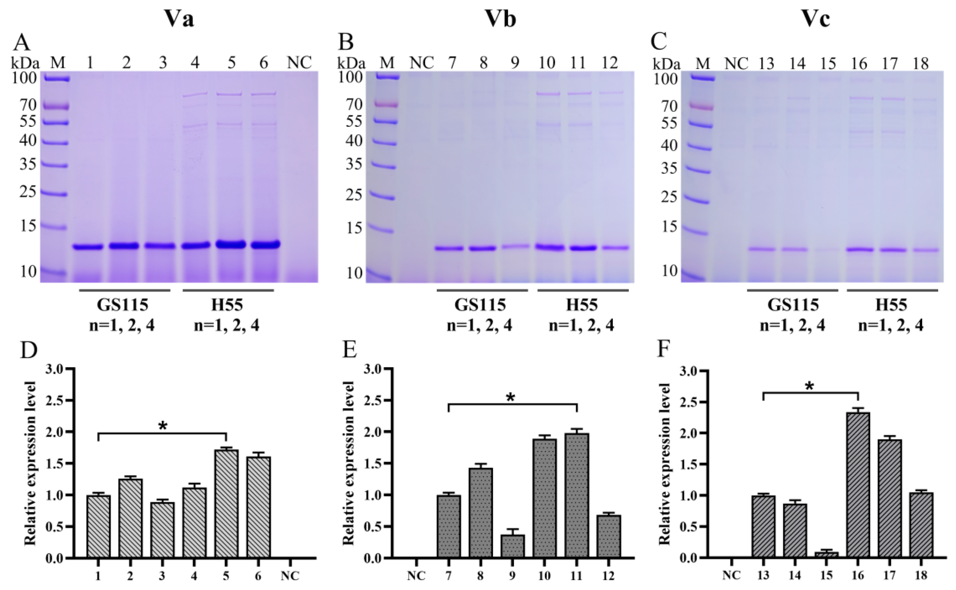 Fermentation 10 00037 g011