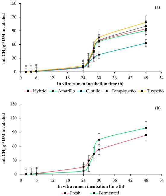 Influence of Genotype and Anaerobic Fermentation on In Vitro Rumen ...