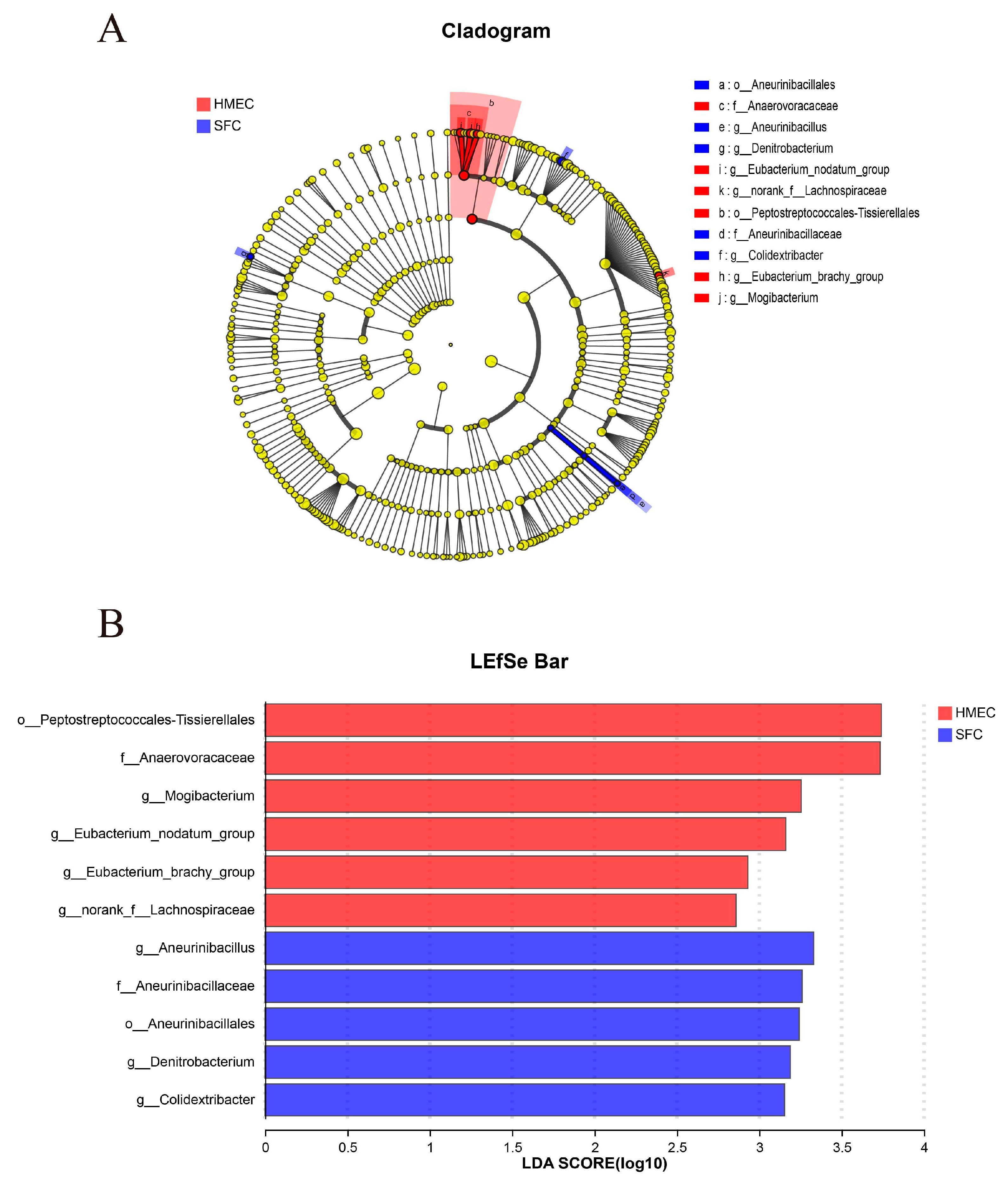 Fermentation 10 00044 g004