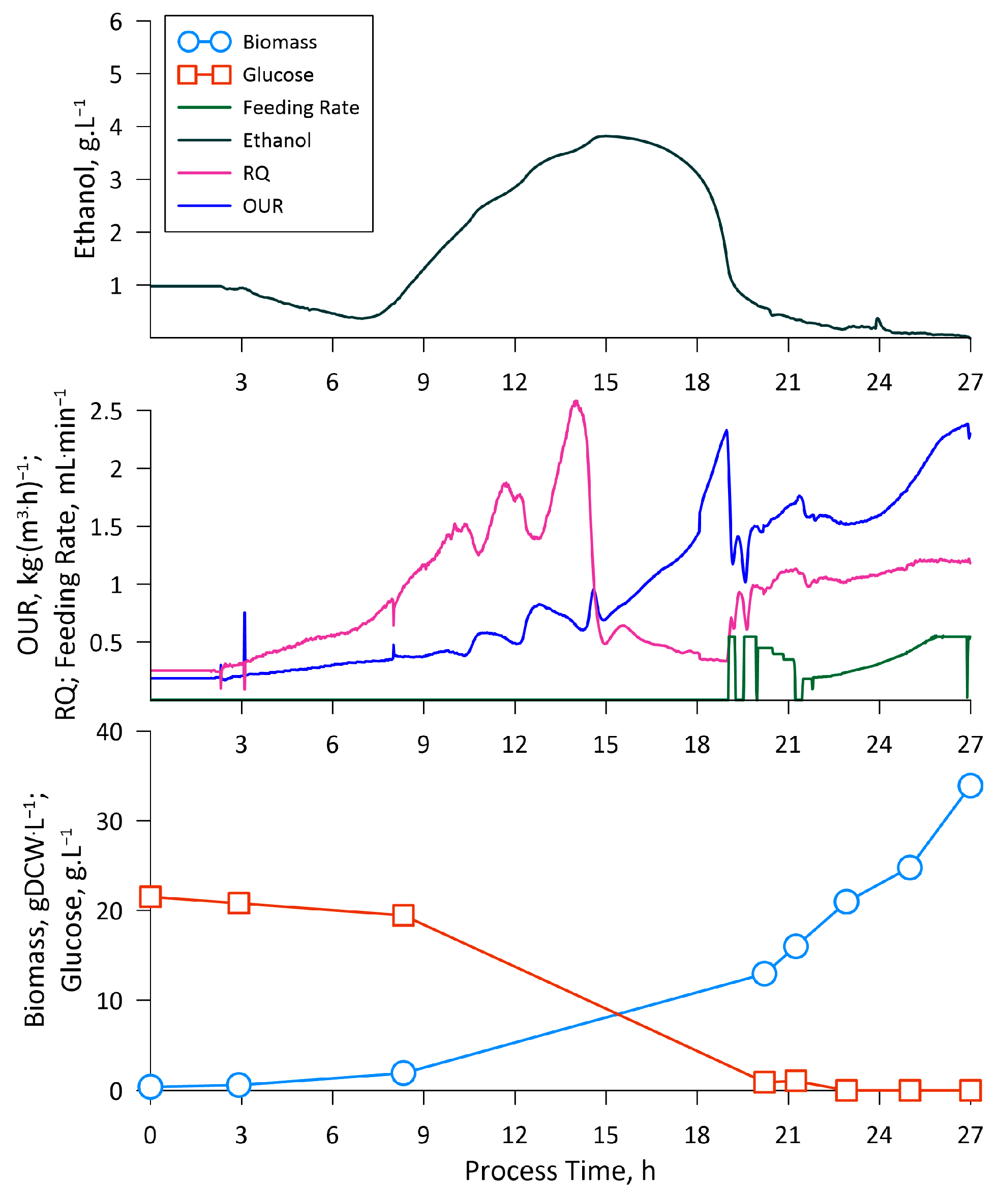 Fermentation 10 00055 g001