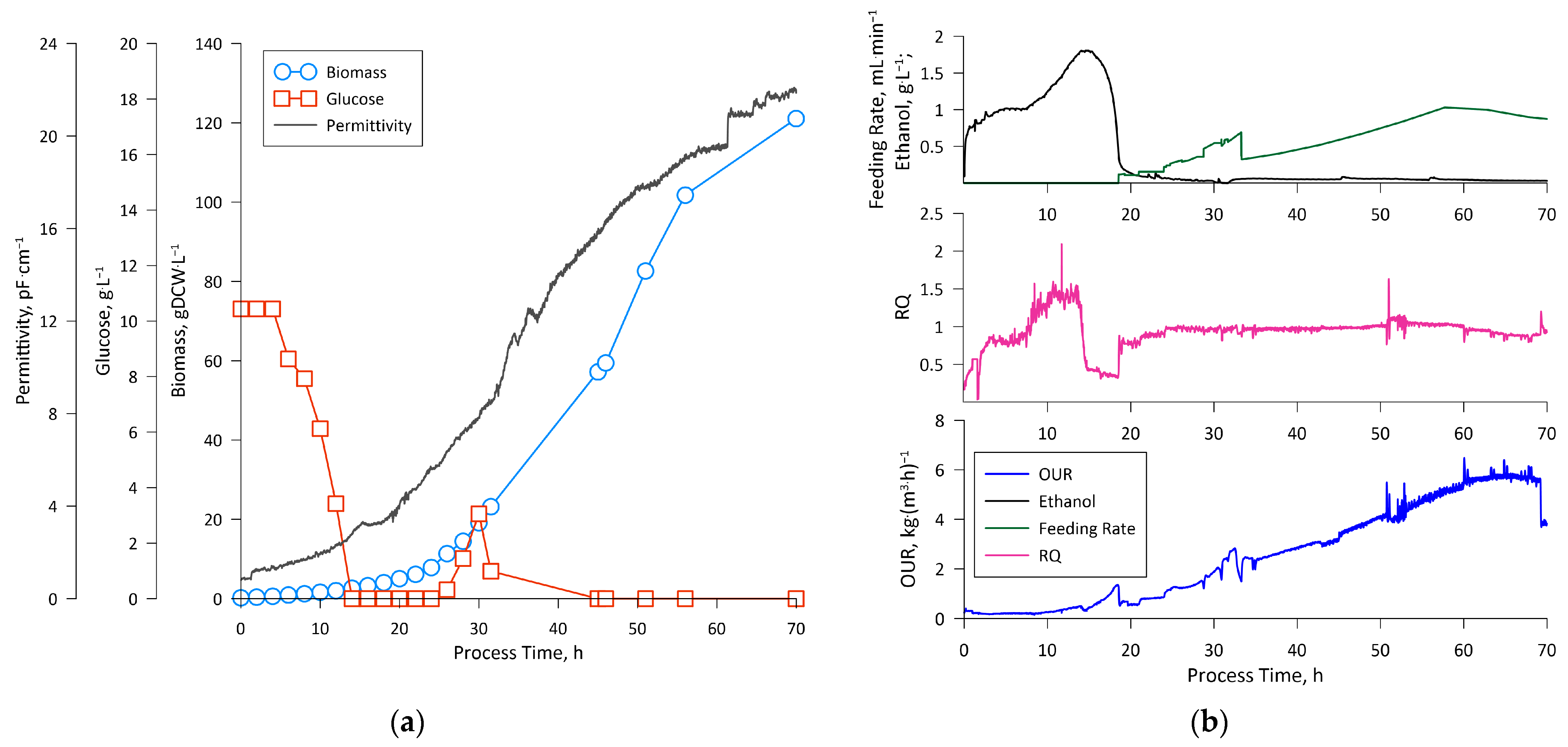 Fermentation 10 00055 g003