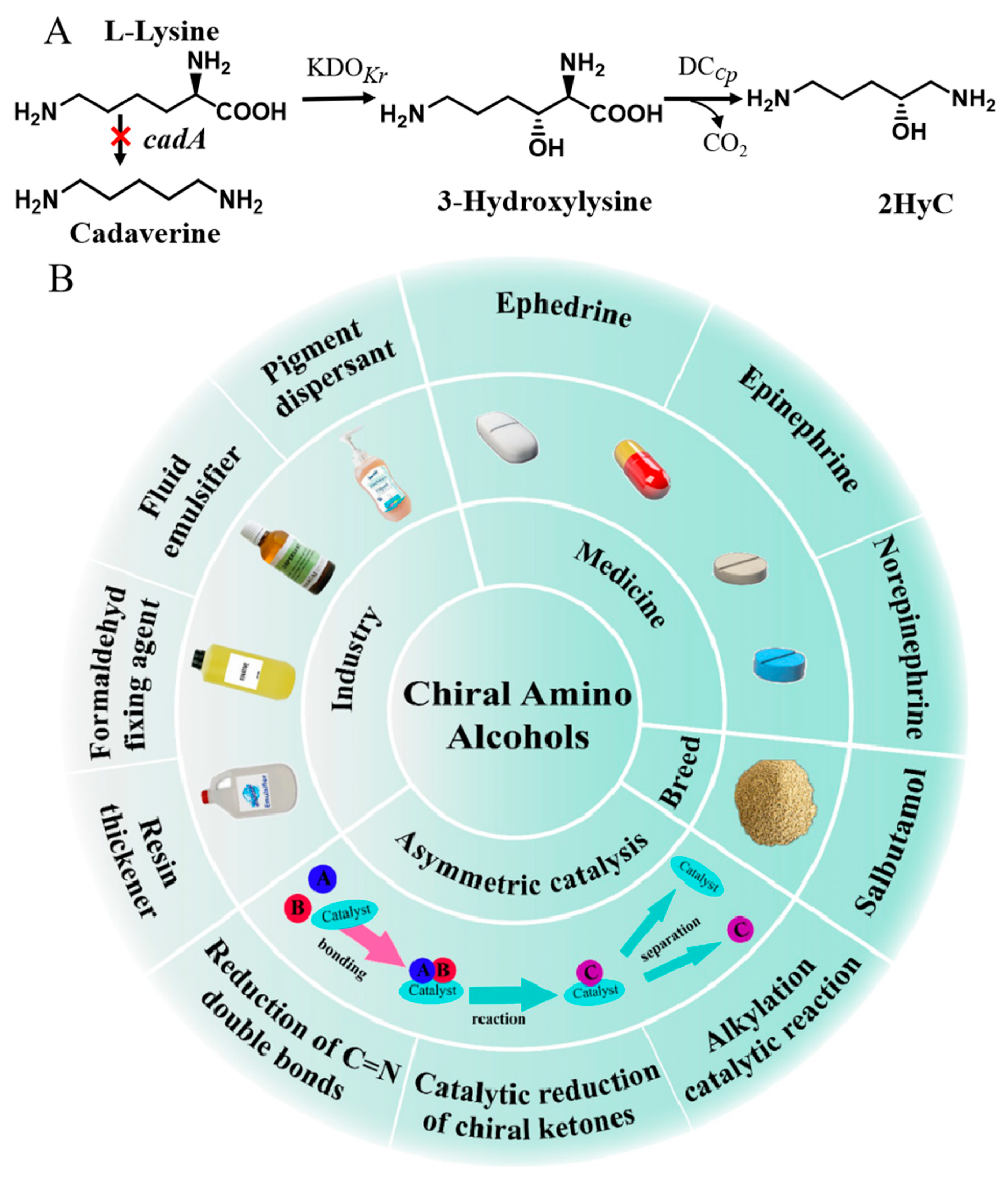 Fermentation 10 00056 g001