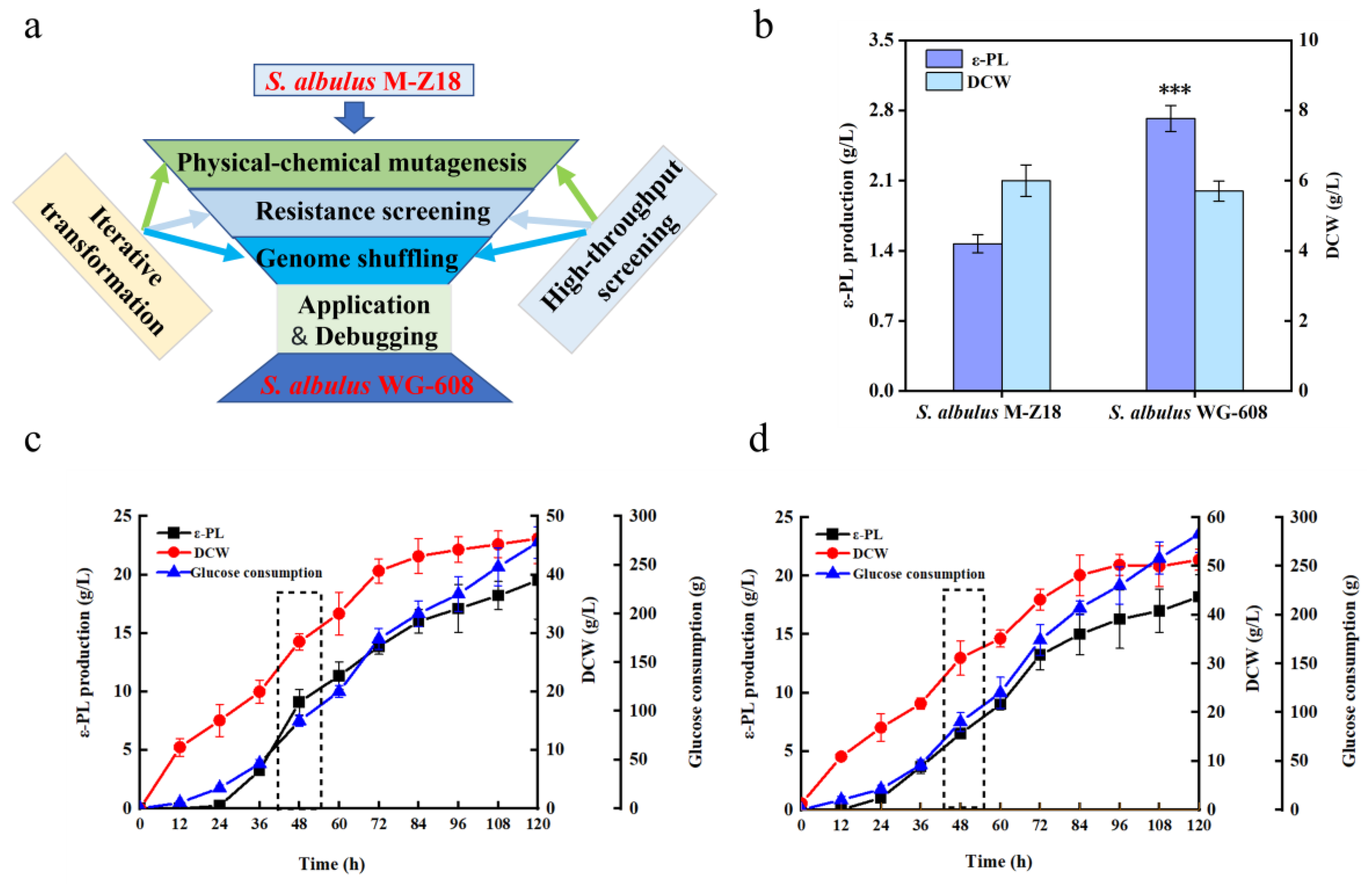 Identification and Combinatorial Overexpression of Key Genes
