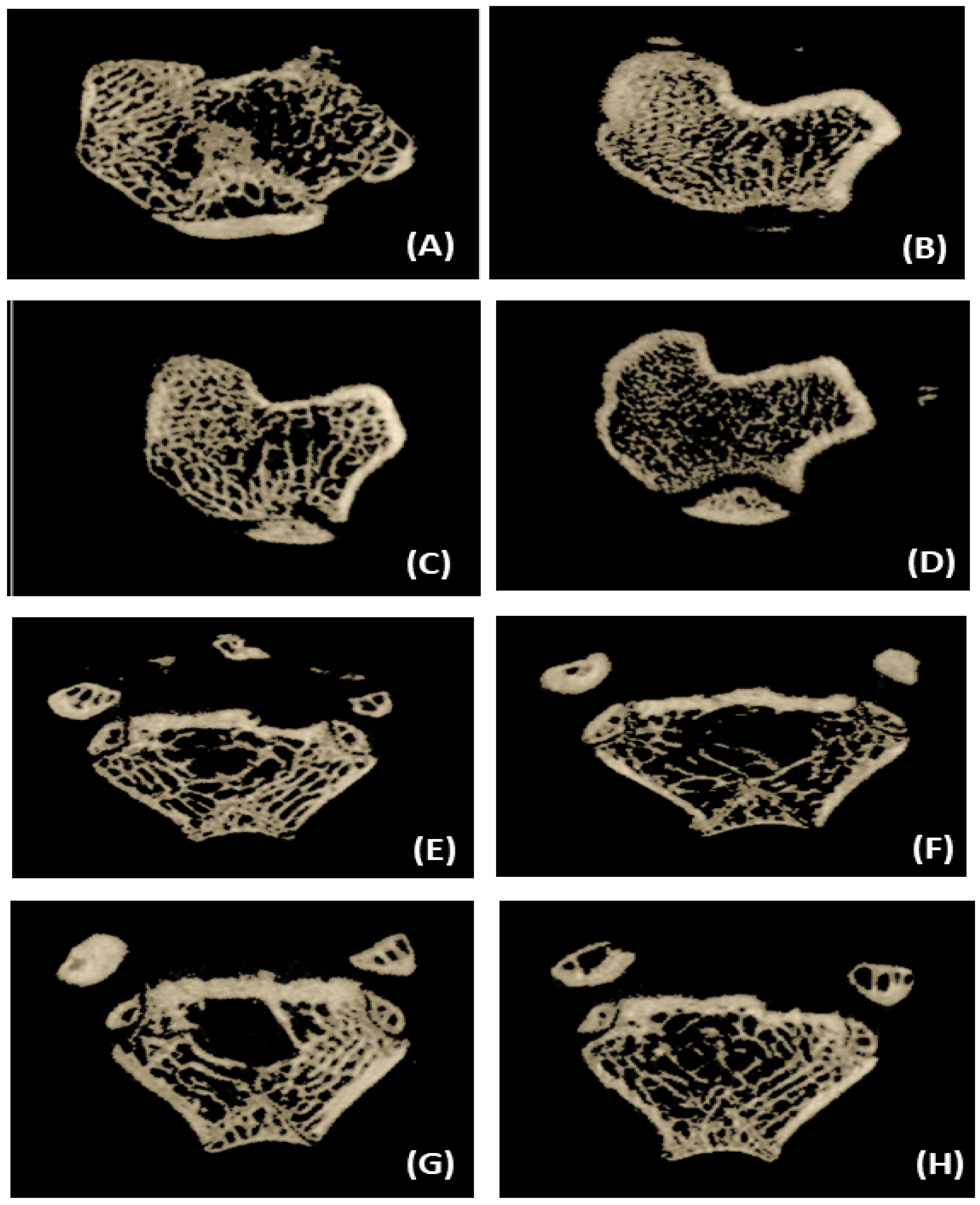 Fermentation 10 00072 g003