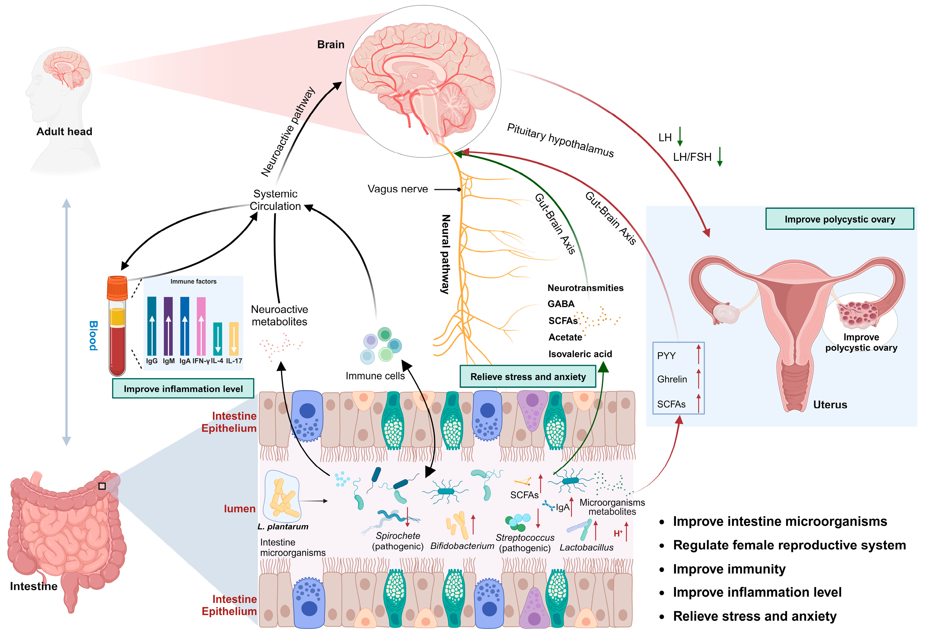Fermentation 10 00073 g002 Fermentation 10 00073 g002