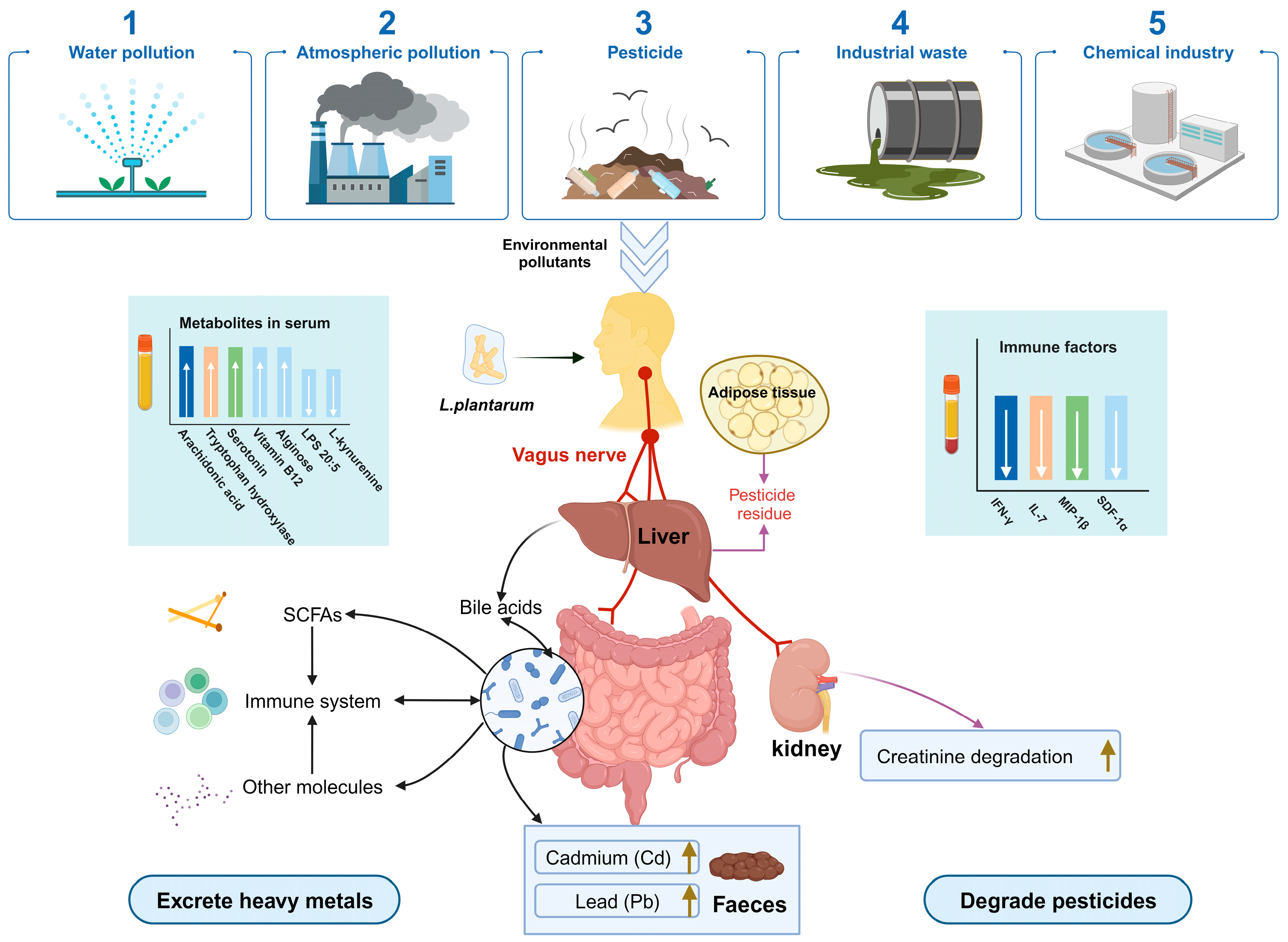 Fermentation 10 00073 g004 Fermentation 10 00073 g004