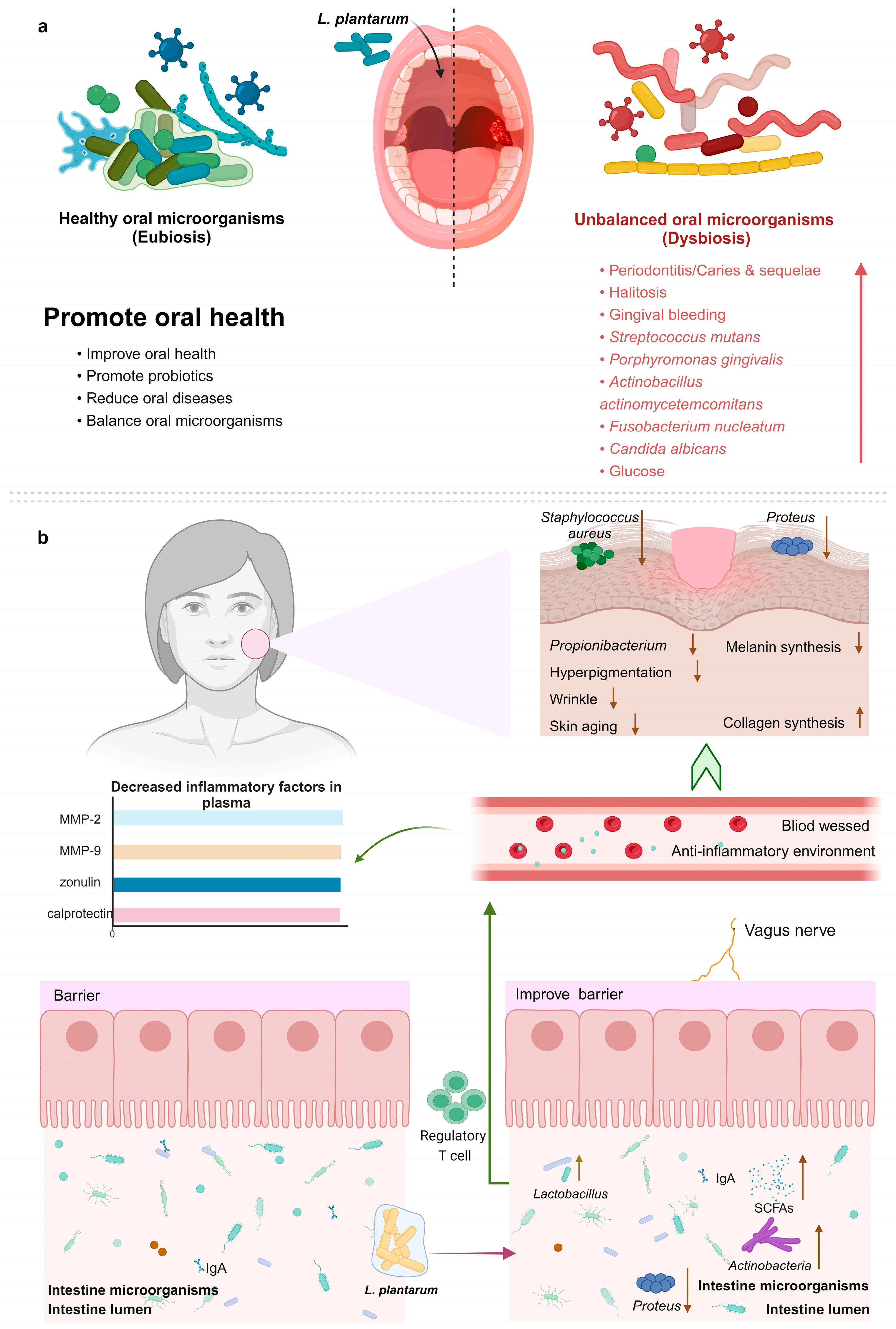 Fermentation 10 00073 g005 Fermentation 10 00073 g005