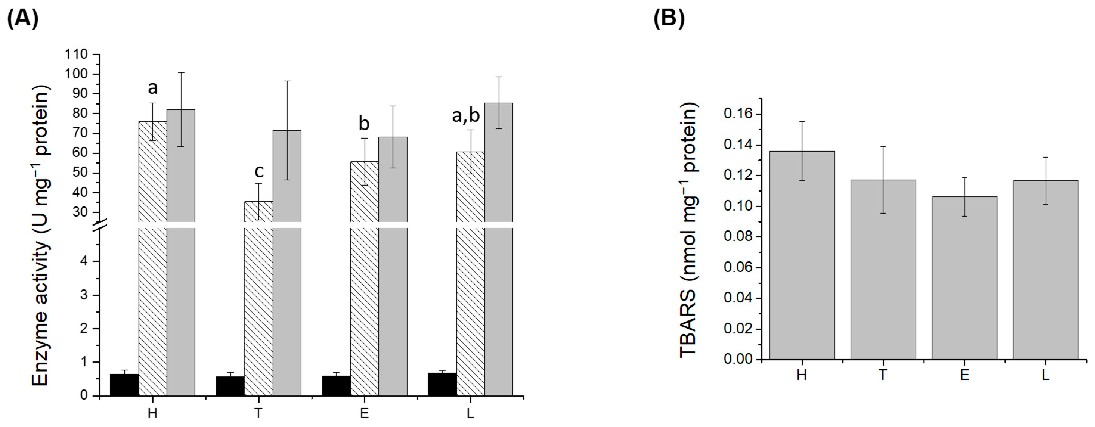 Fermentation 10 00077 g003
