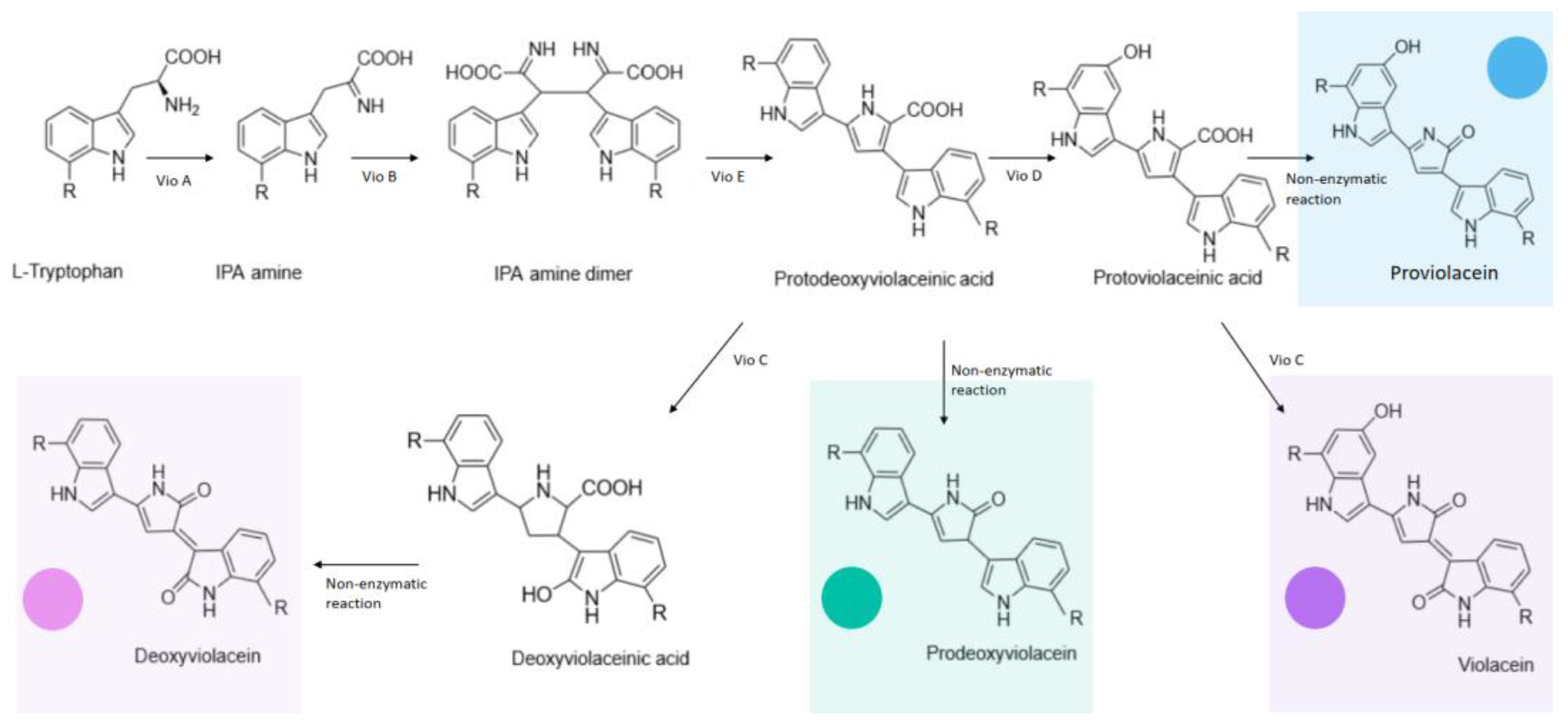Fermentation 10 00079 g003