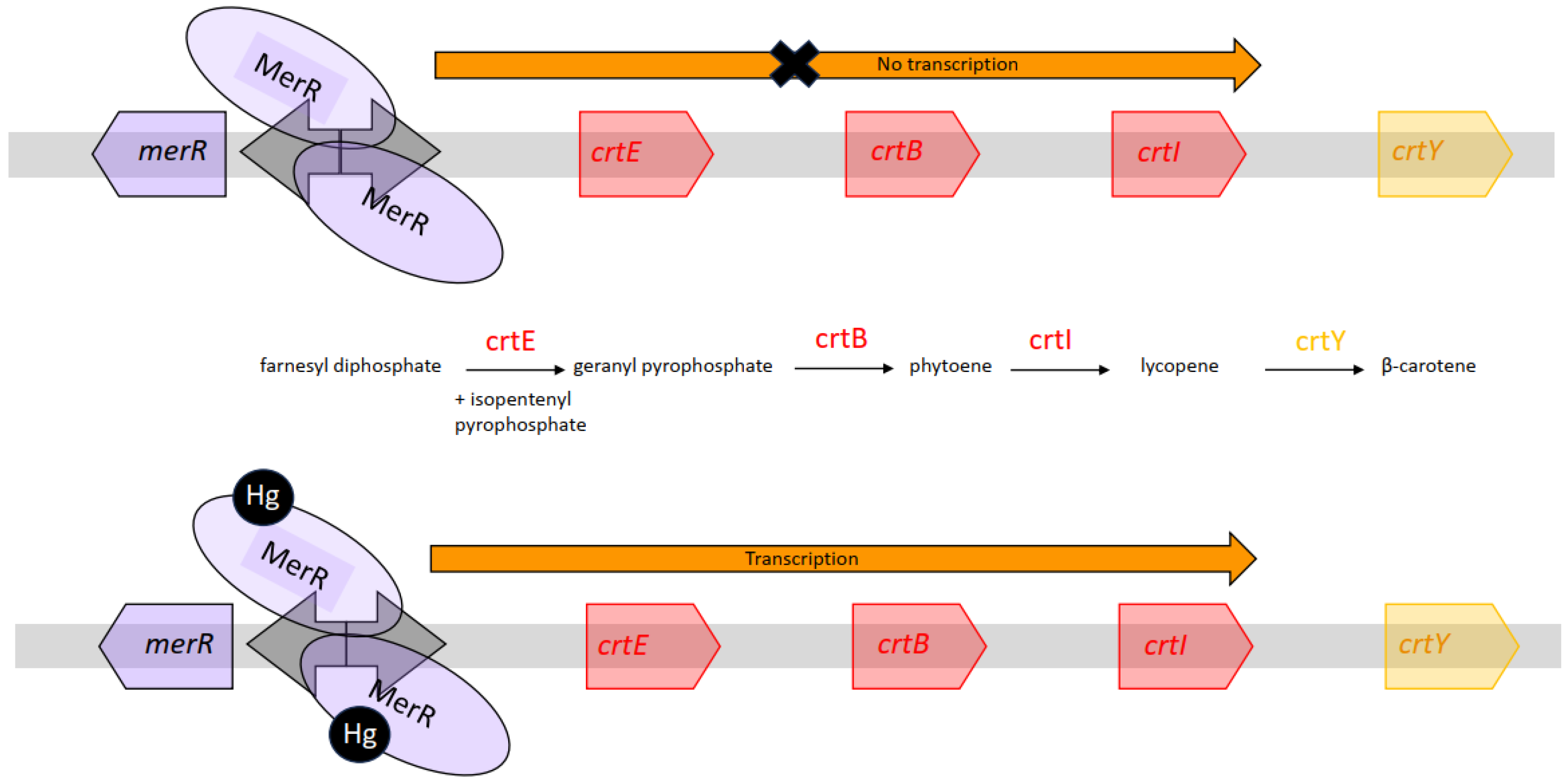 Fermentation 10 00079 g006