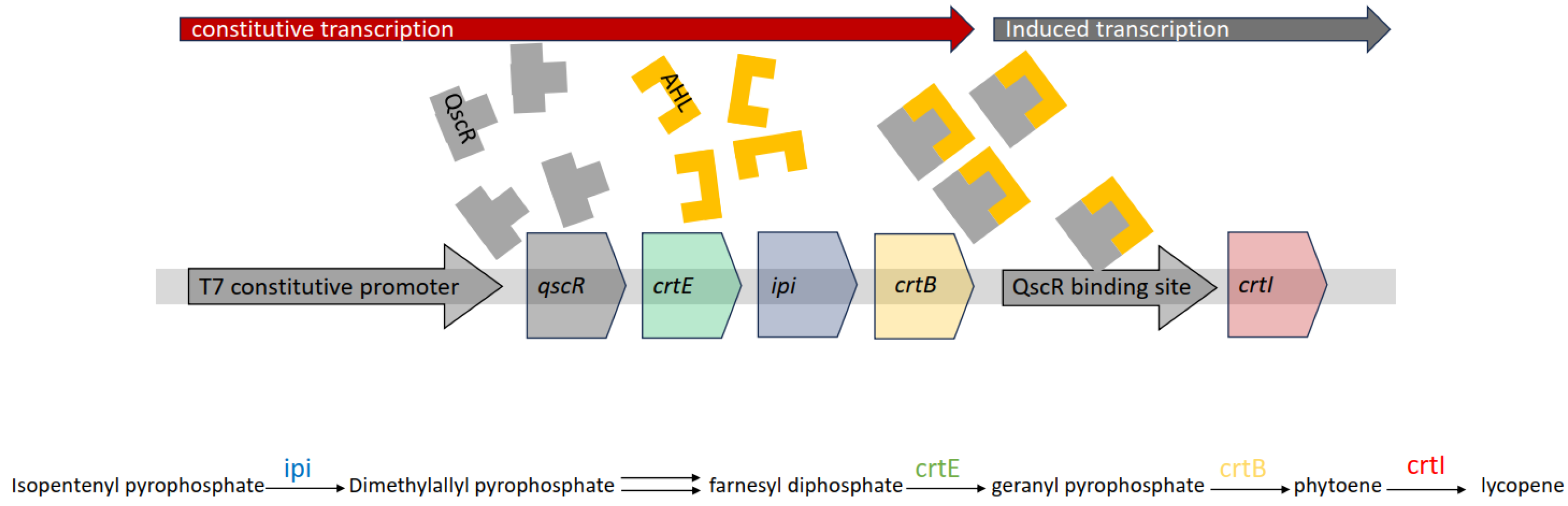Fermentation 10 00079 g007