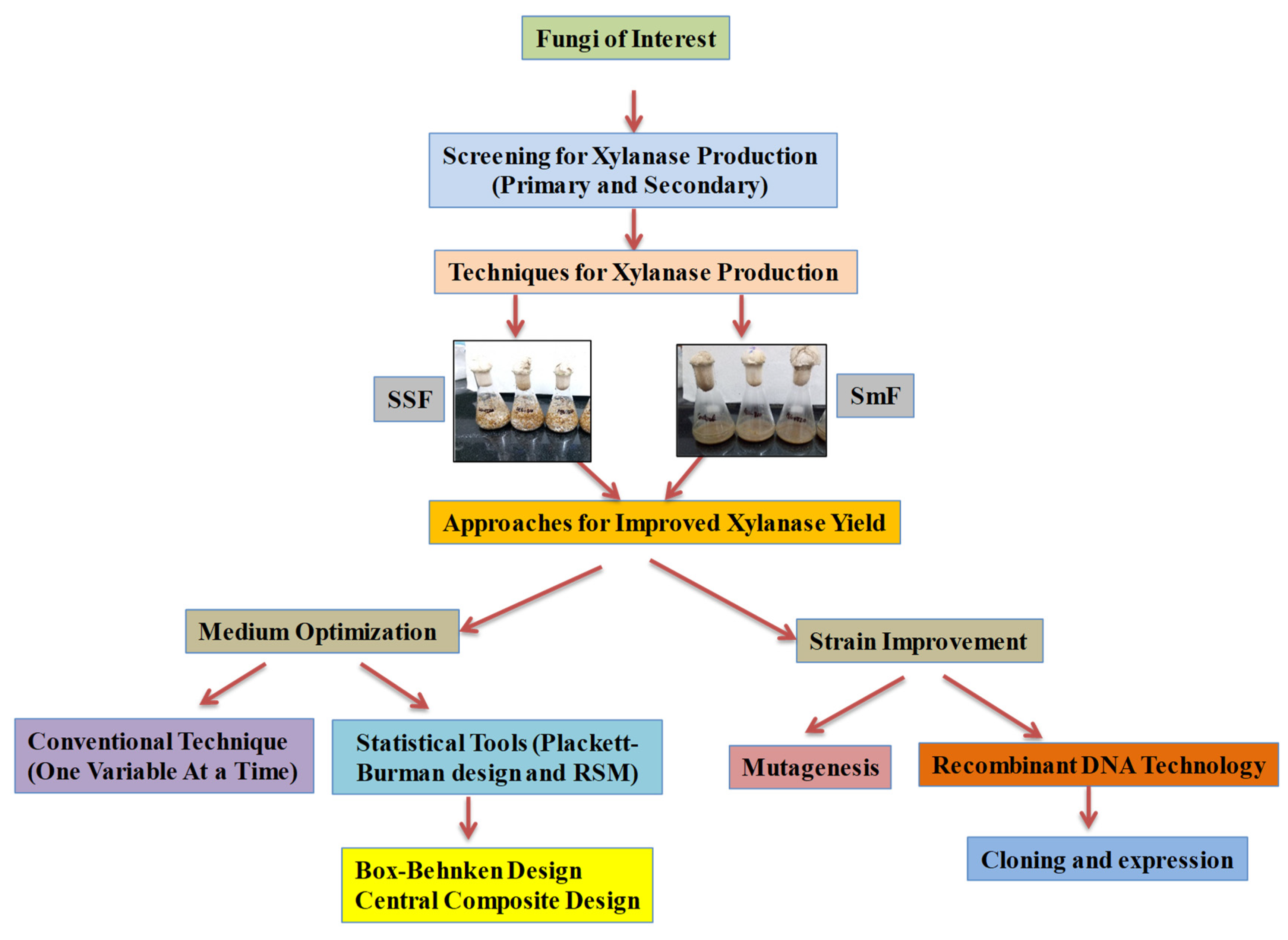 Fermentation 10 00082 g002 Fermentation 10 00082 g002