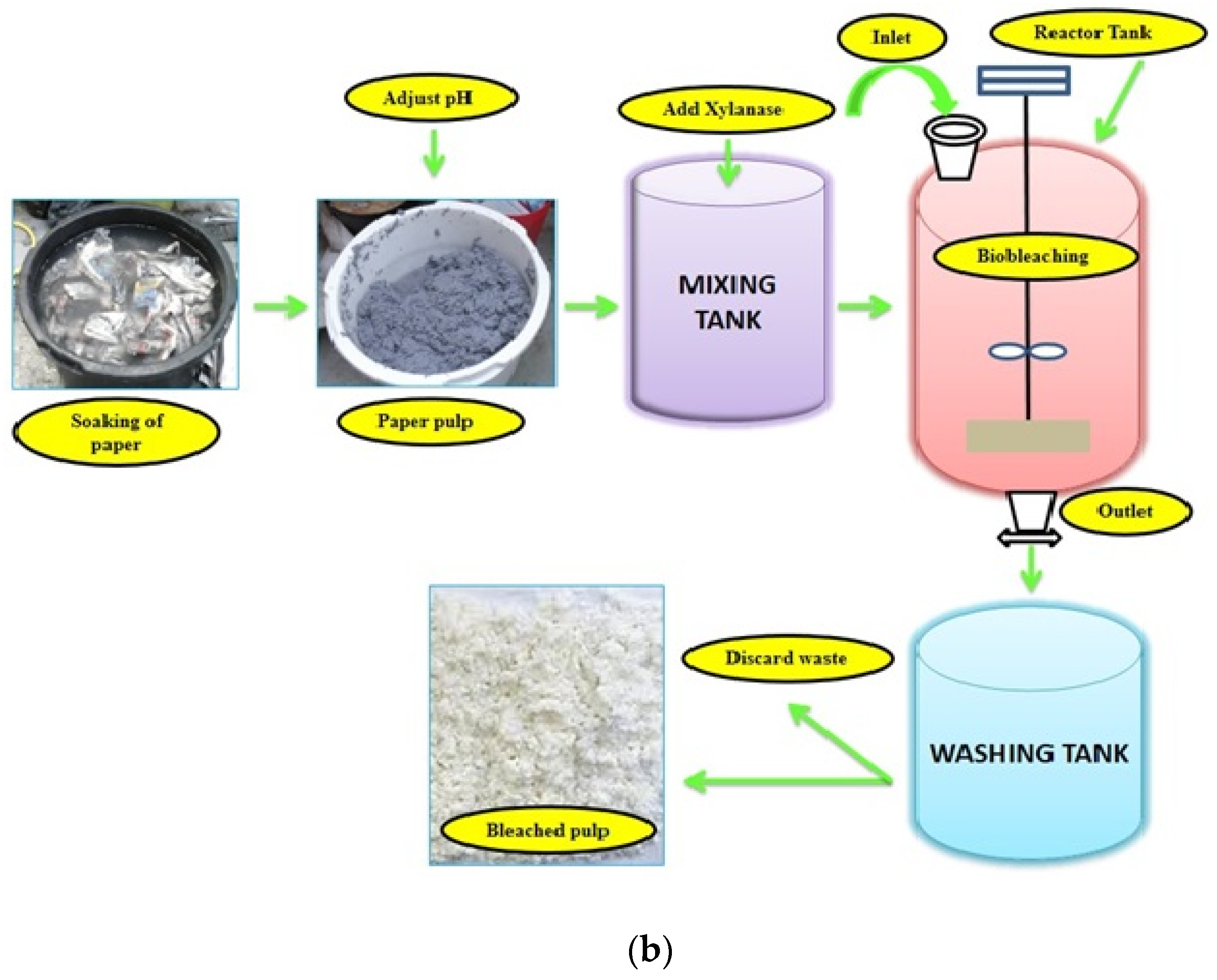 Fermentation 10 00082 g003b Fermentation 10 00082 g003b
