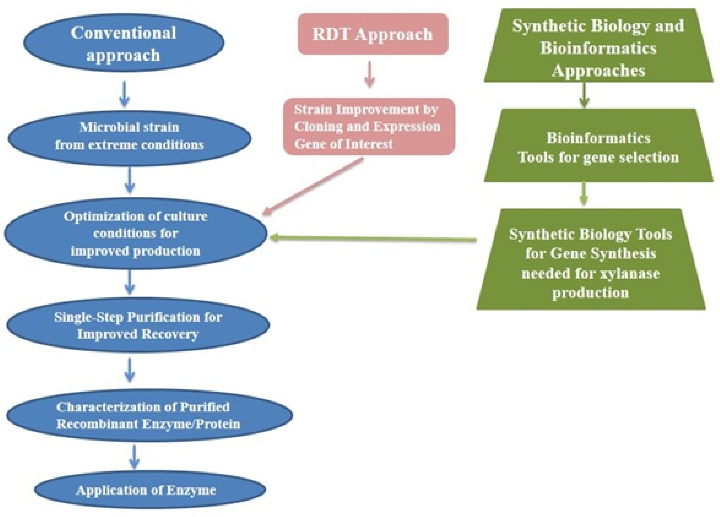 Fermentation 10 00082 g004 Fermentation 10 00082 g004