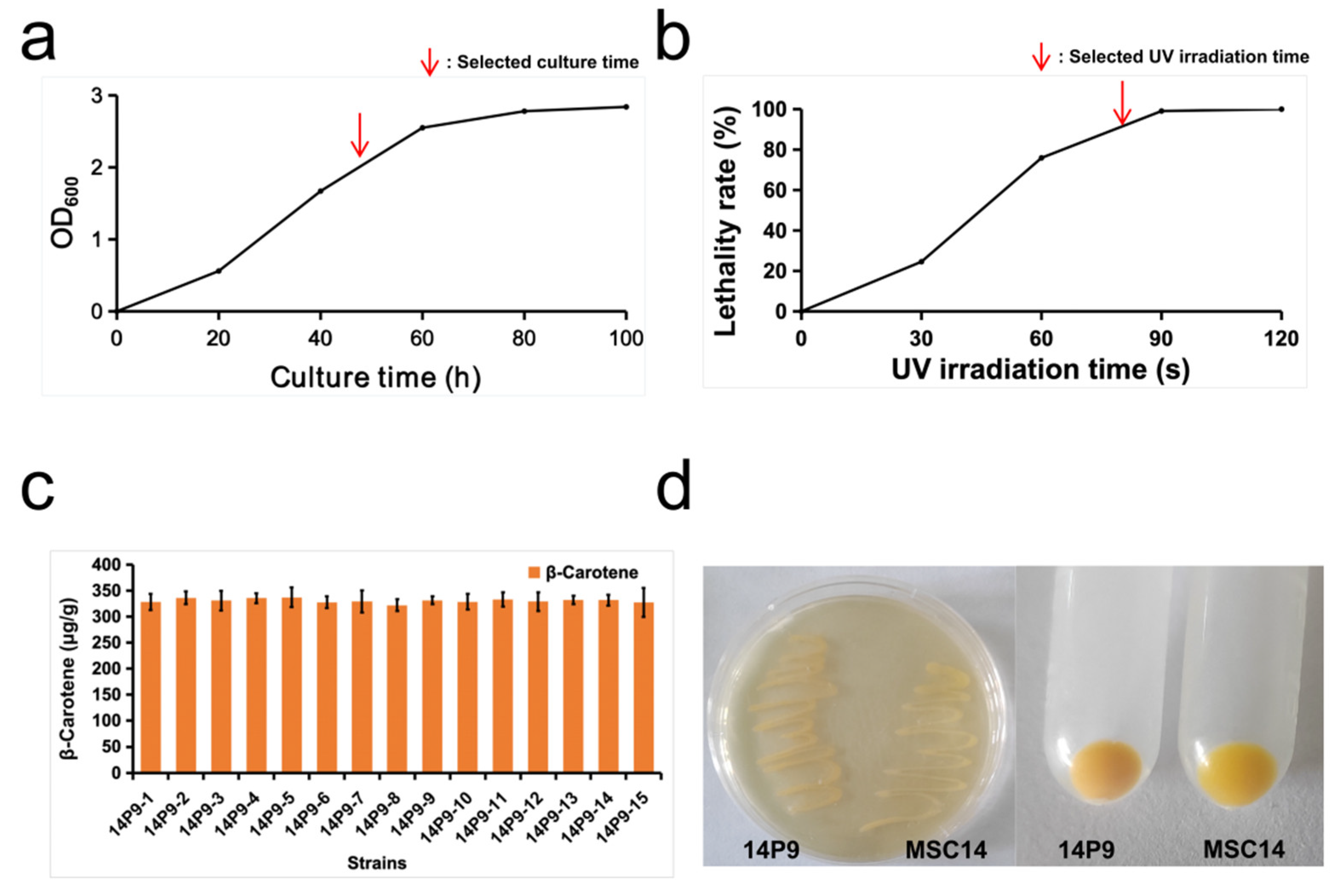 Fermentation 10 00083 g002