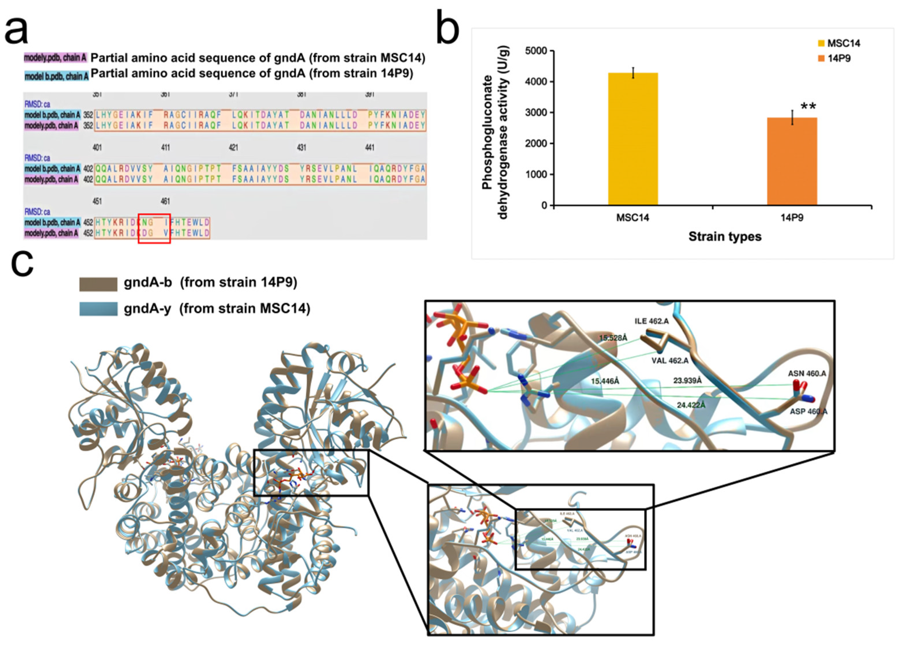 Fermentation 10 00083 g003