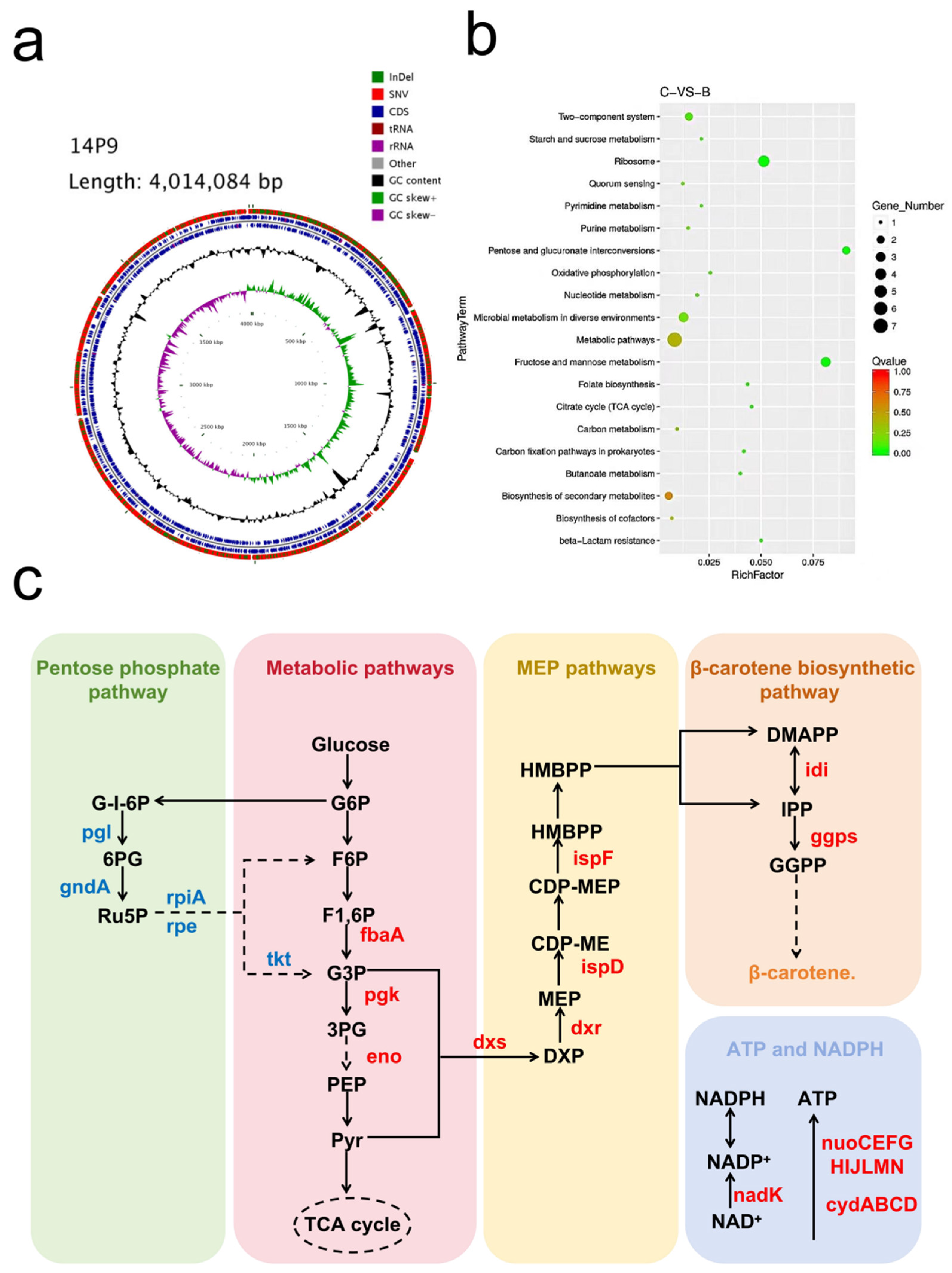 Fermentation 10 00083 g004