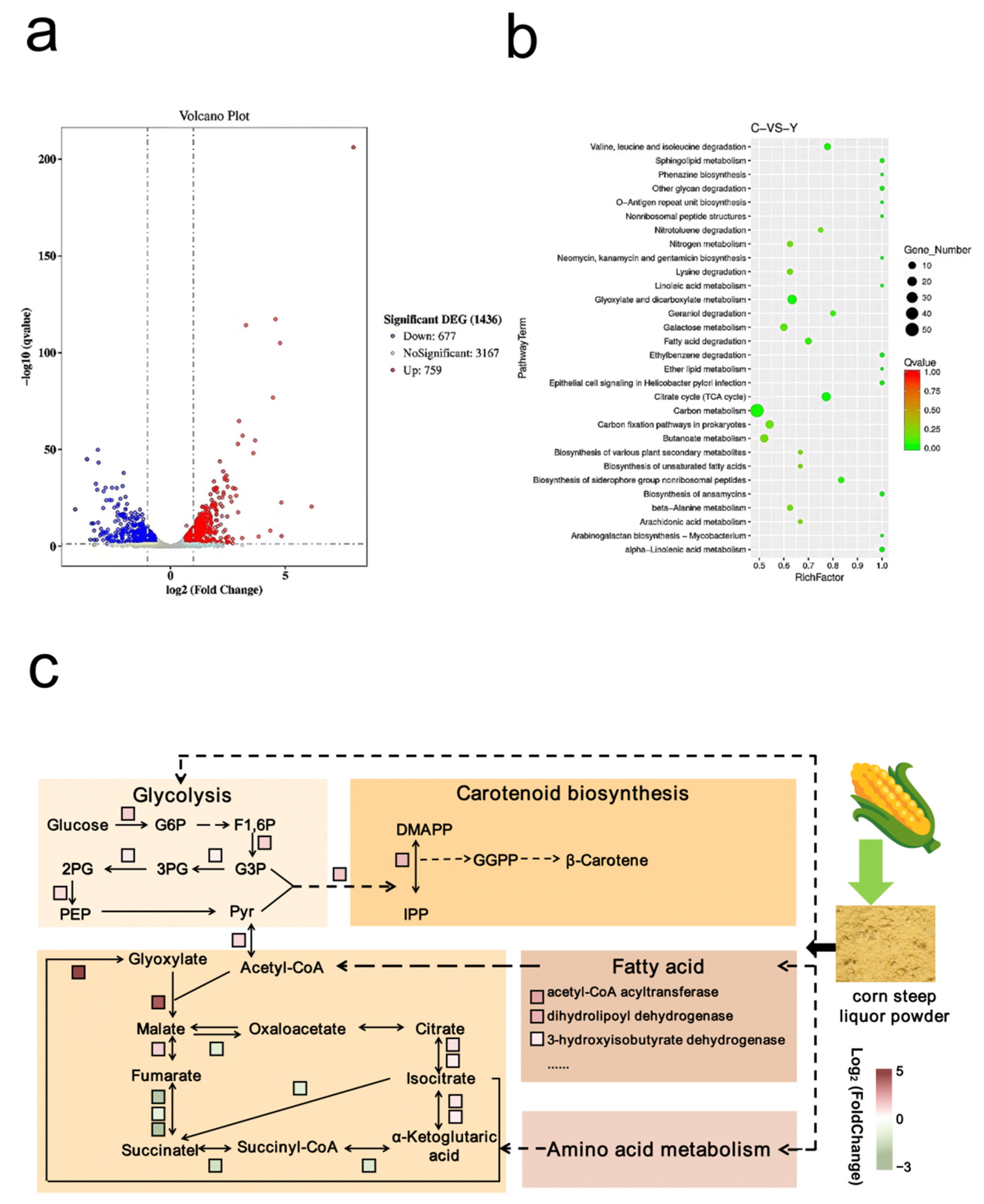Fermentation 10 00083 g005