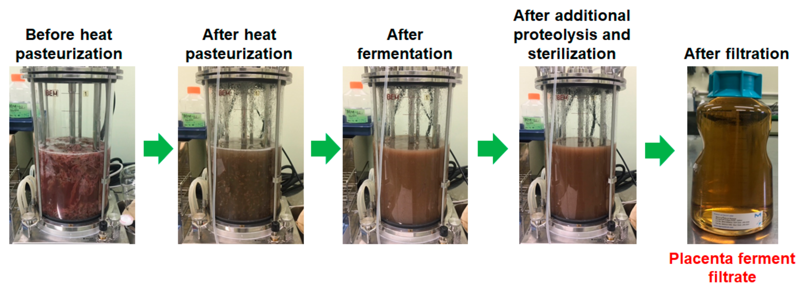 Fermentation 10 00089 g001