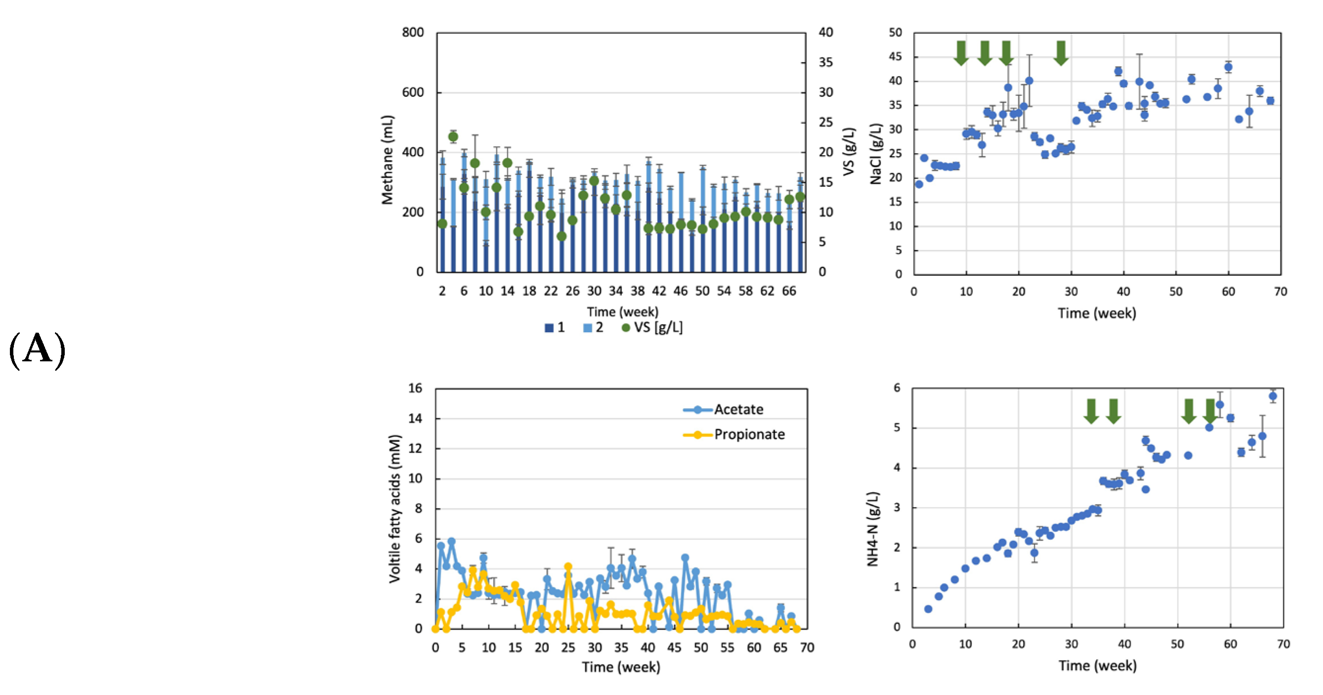 Fermentation 10 00098 g001a