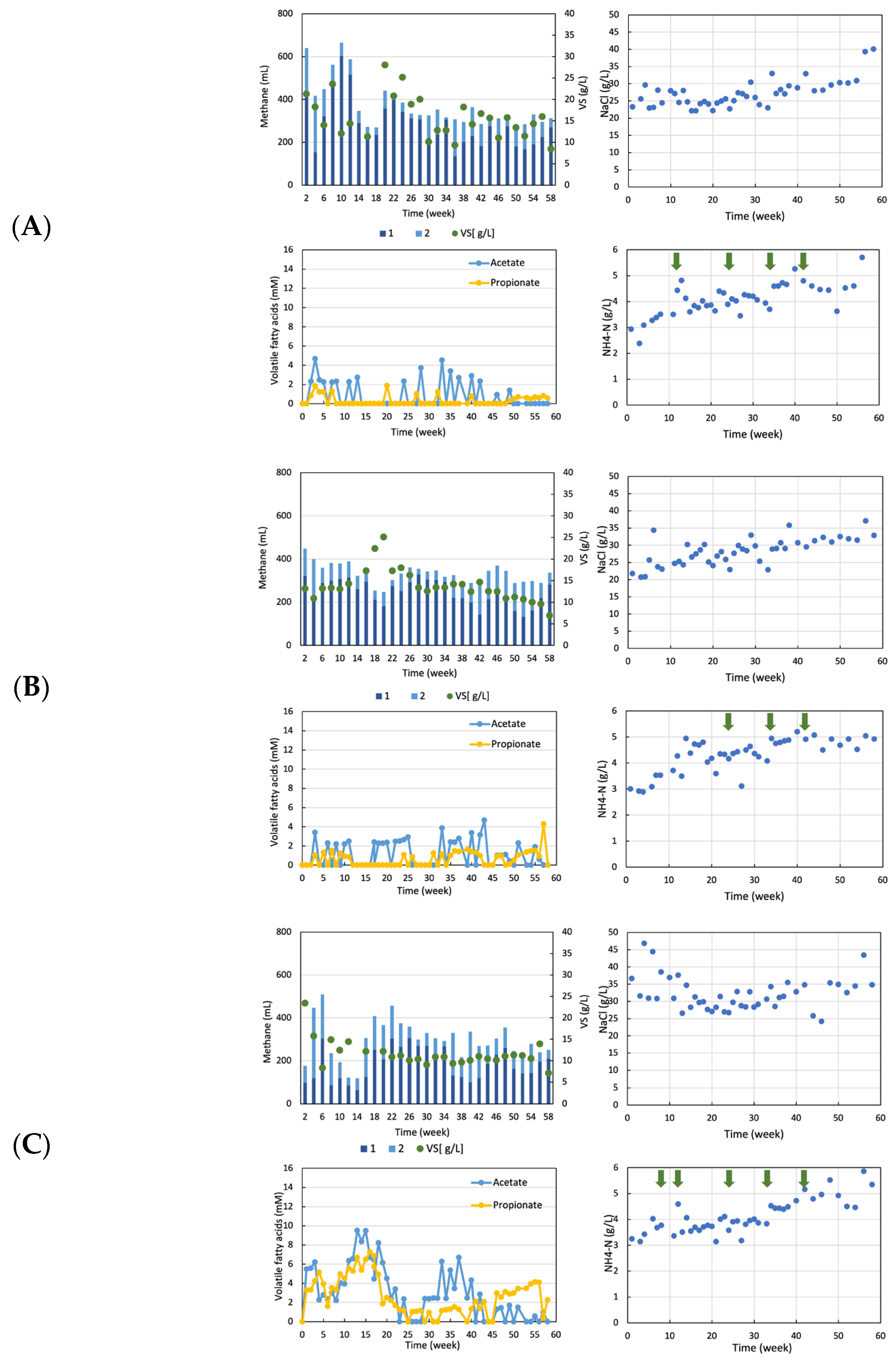 Fermentation 10 00098 g002