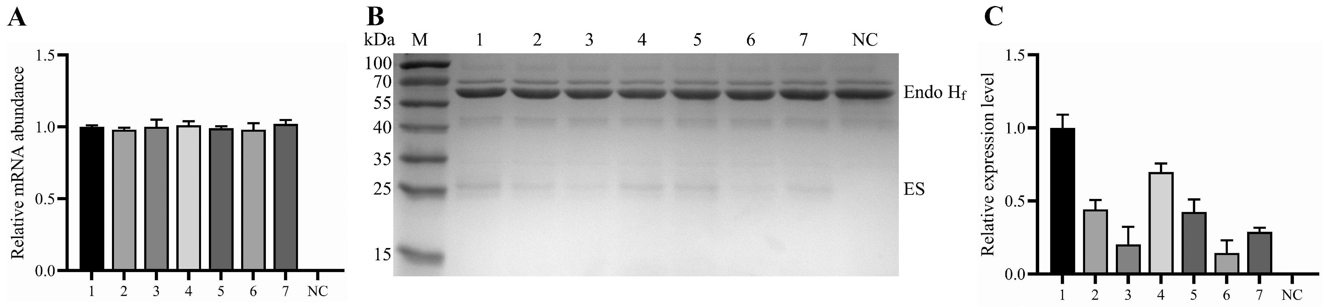 Fermentation 10 00099 g002 Fermentation 10 00099 g002