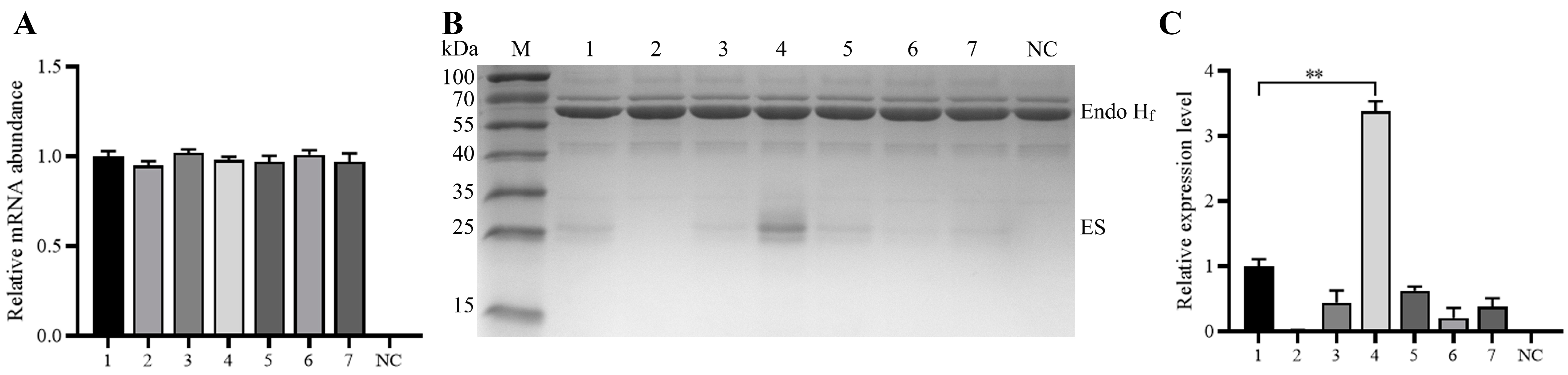 Fermentation 10 00099 g003 Fermentation 10 00099 g003