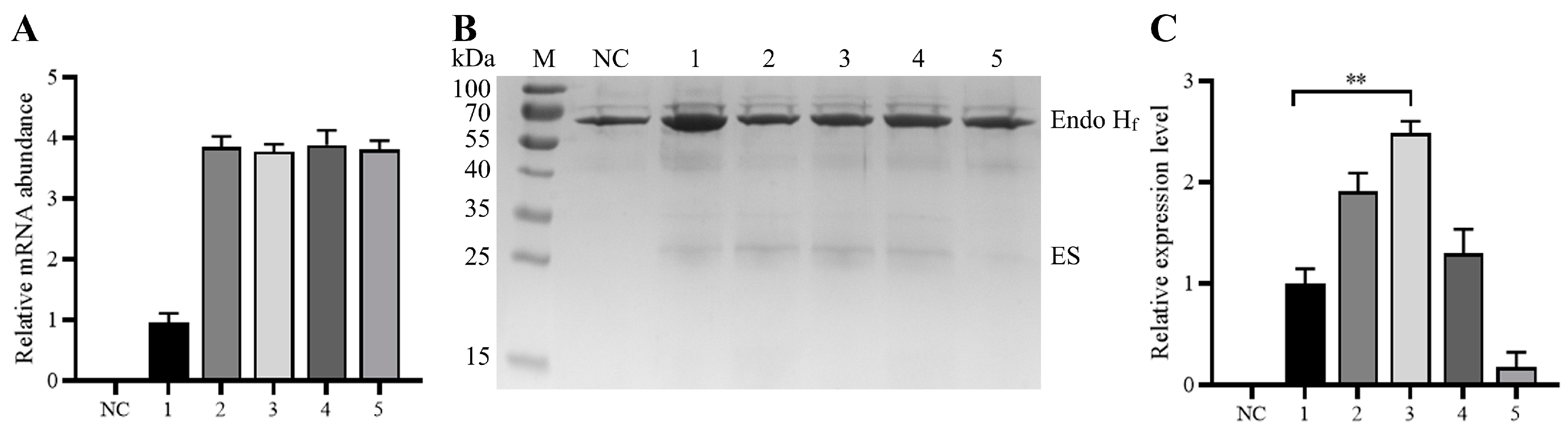 Fermentation 10 00099 g006 Fermentation 10 00099 g006