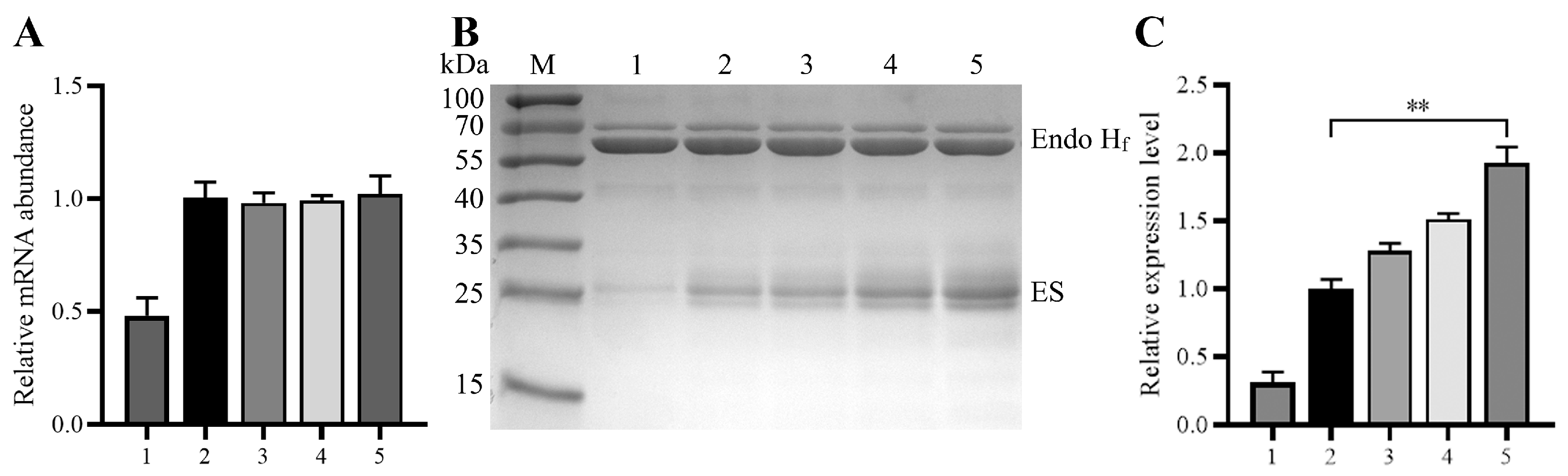Fermentation 10 00099 g009 Fermentation 10 00099 g009