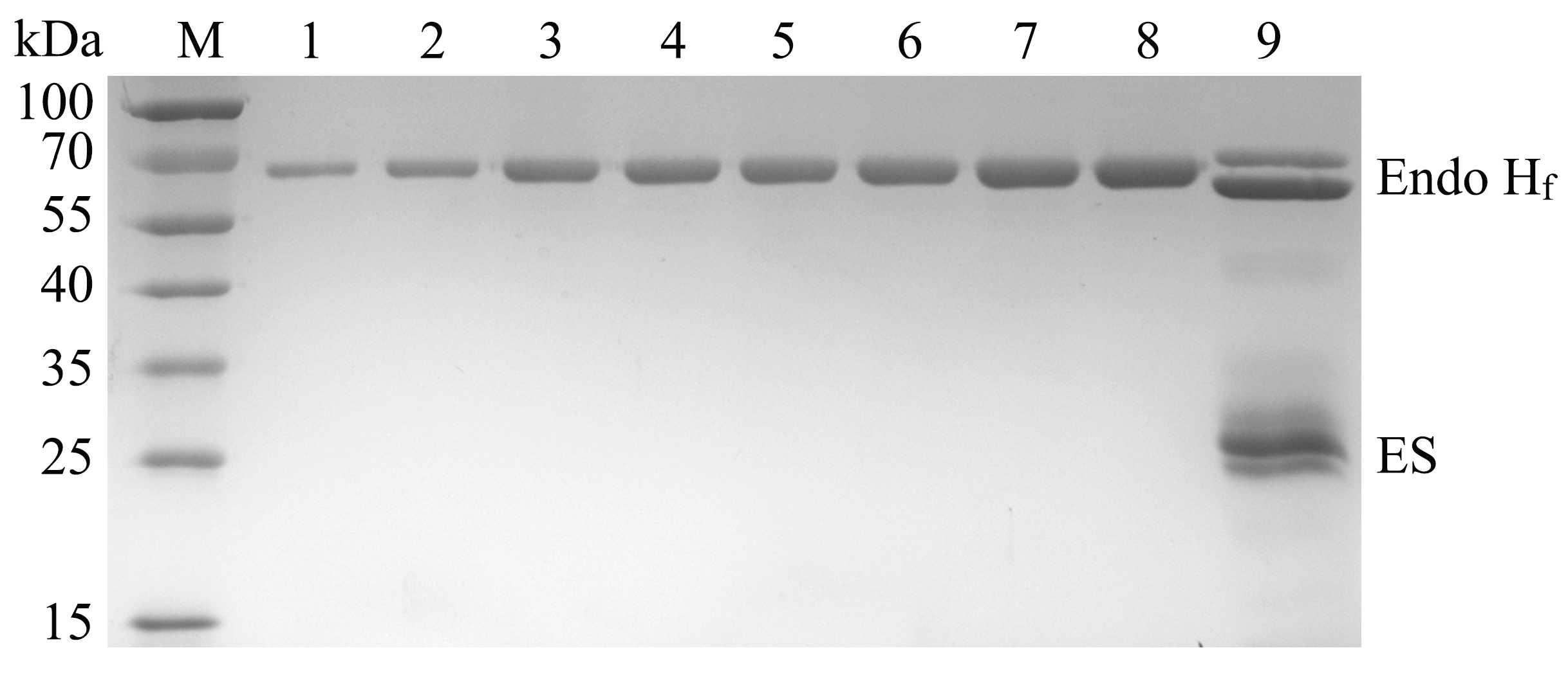 Fermentation 10 00099 g010 Fermentation 10 00099 g010