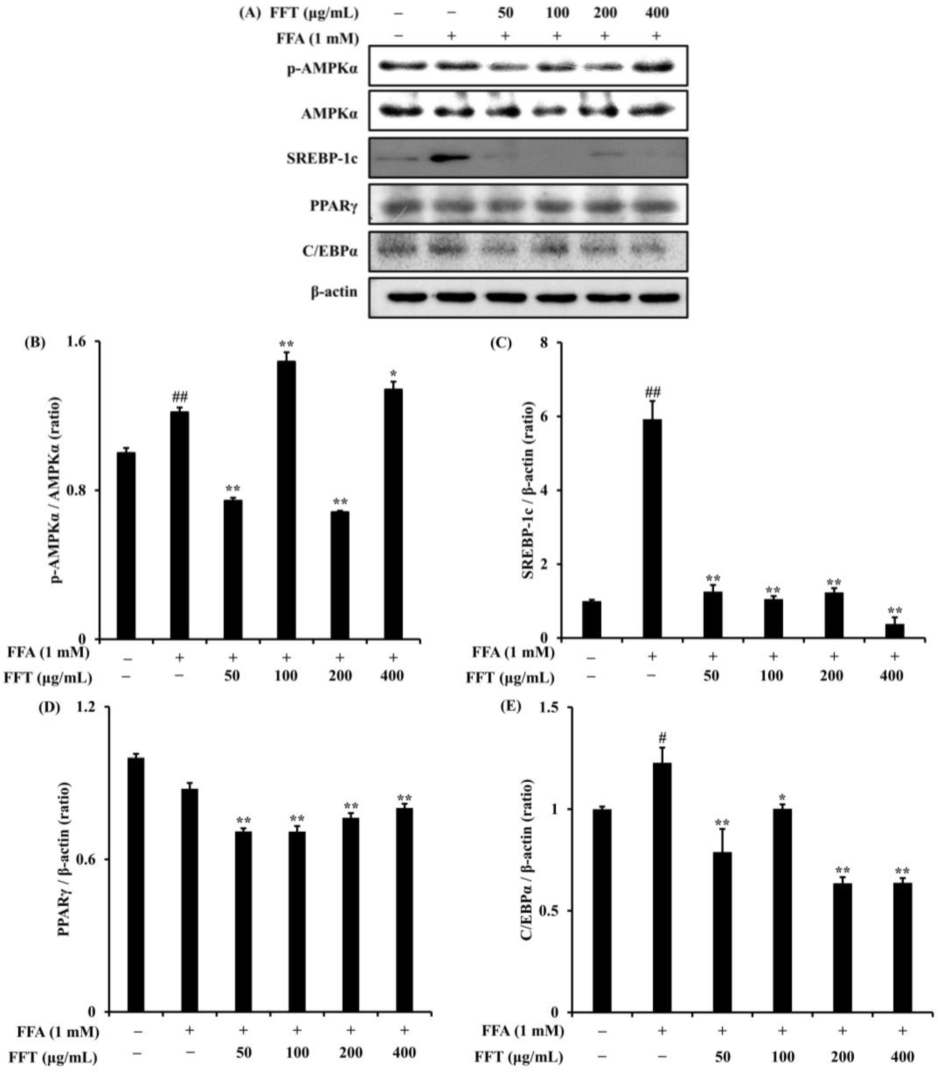 Fermentation 10 00116 g009