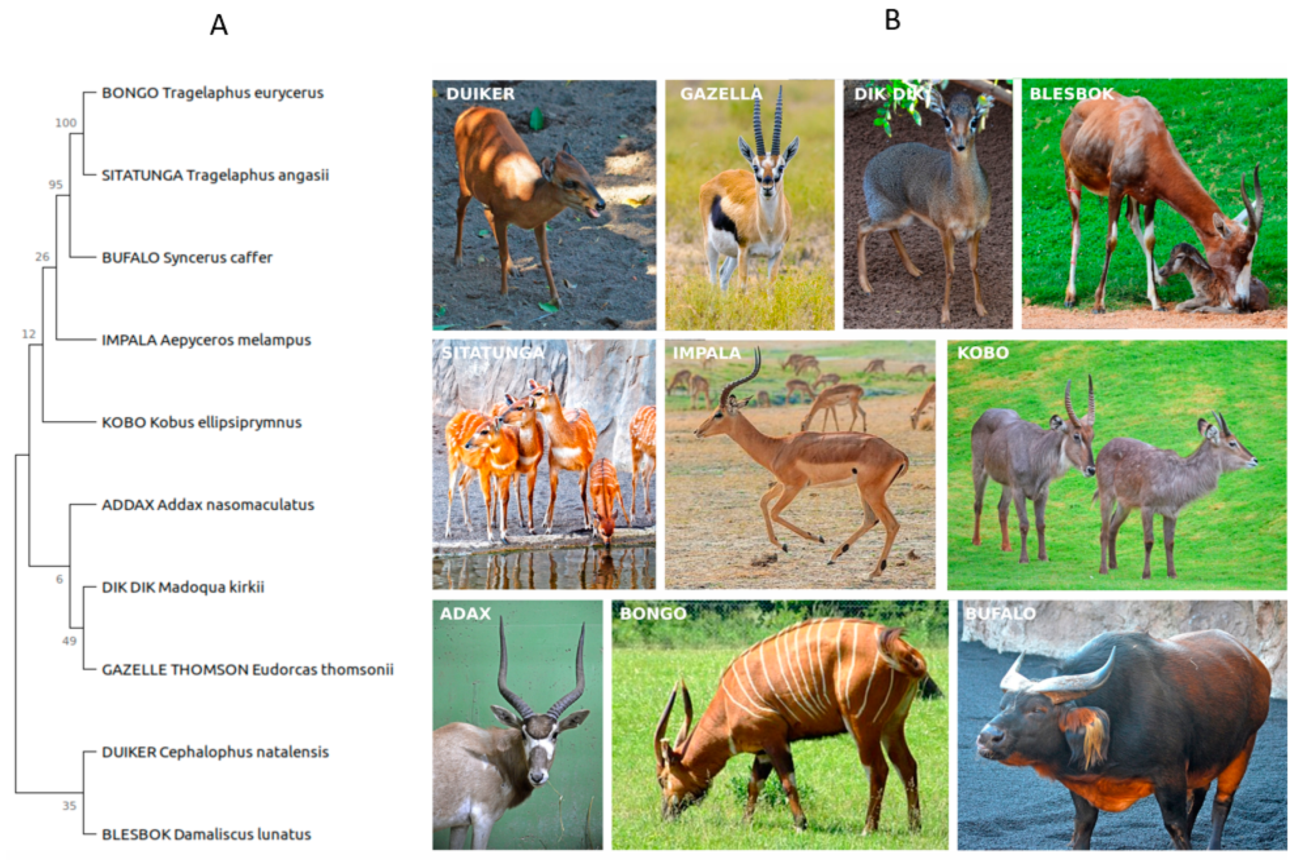 Fermentation 10 00119 g001 Fermentation 10 00119 g001