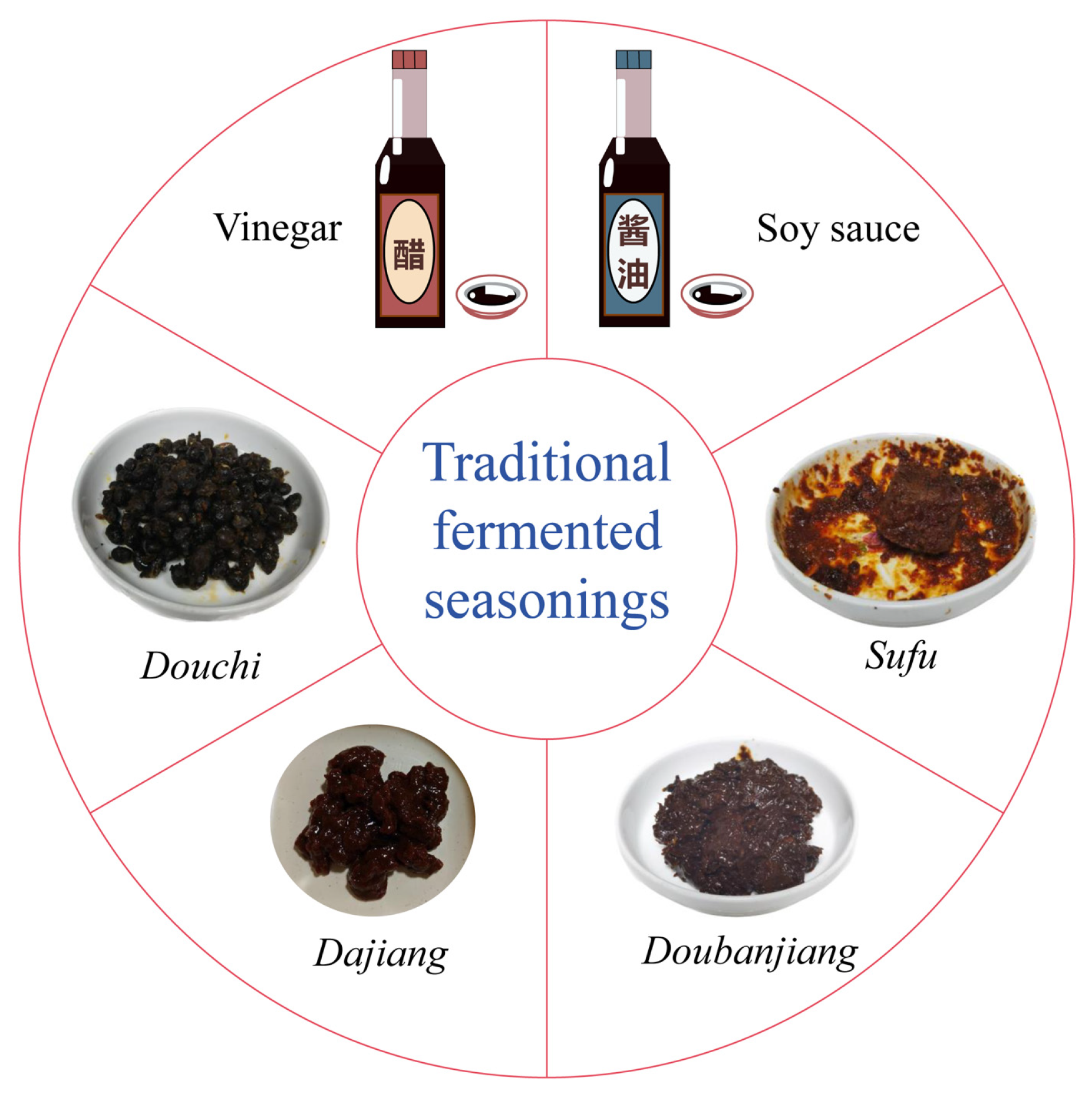 Fermentation 10 00123 g001