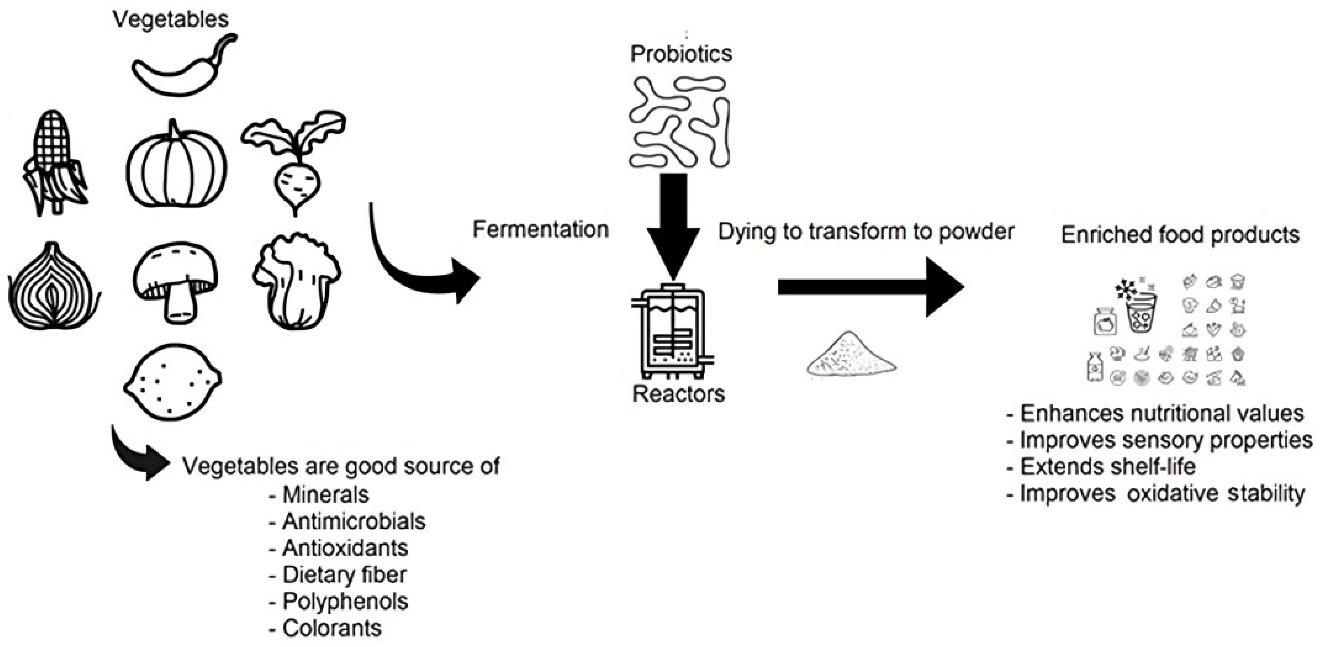 Application of Fermentation as a Strategy for the Application of Fermentation as a Strategy for the