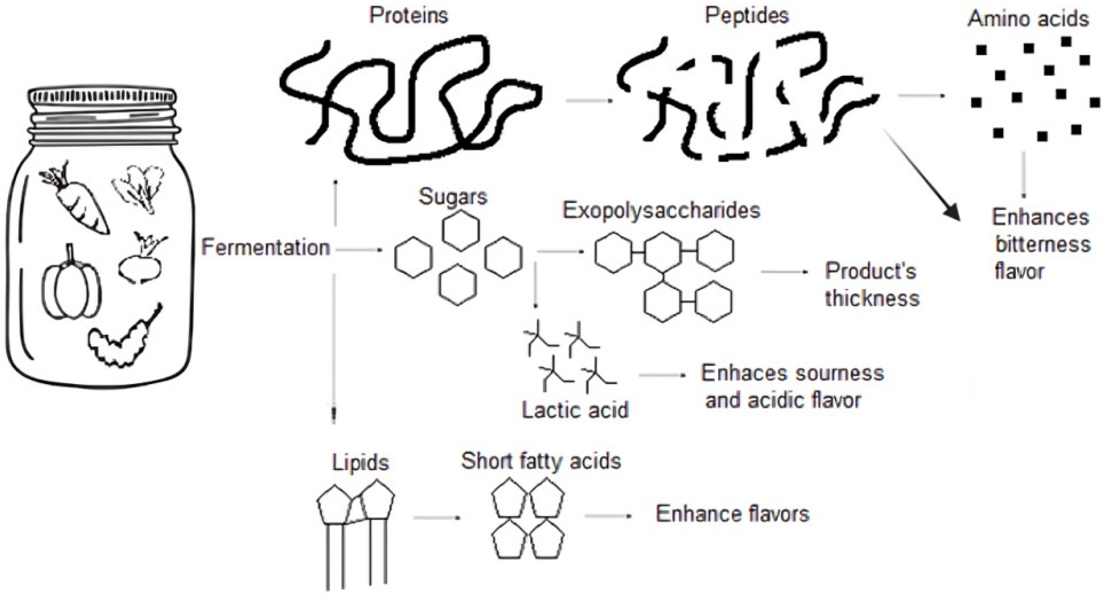 Fermentation 10 00124 g003