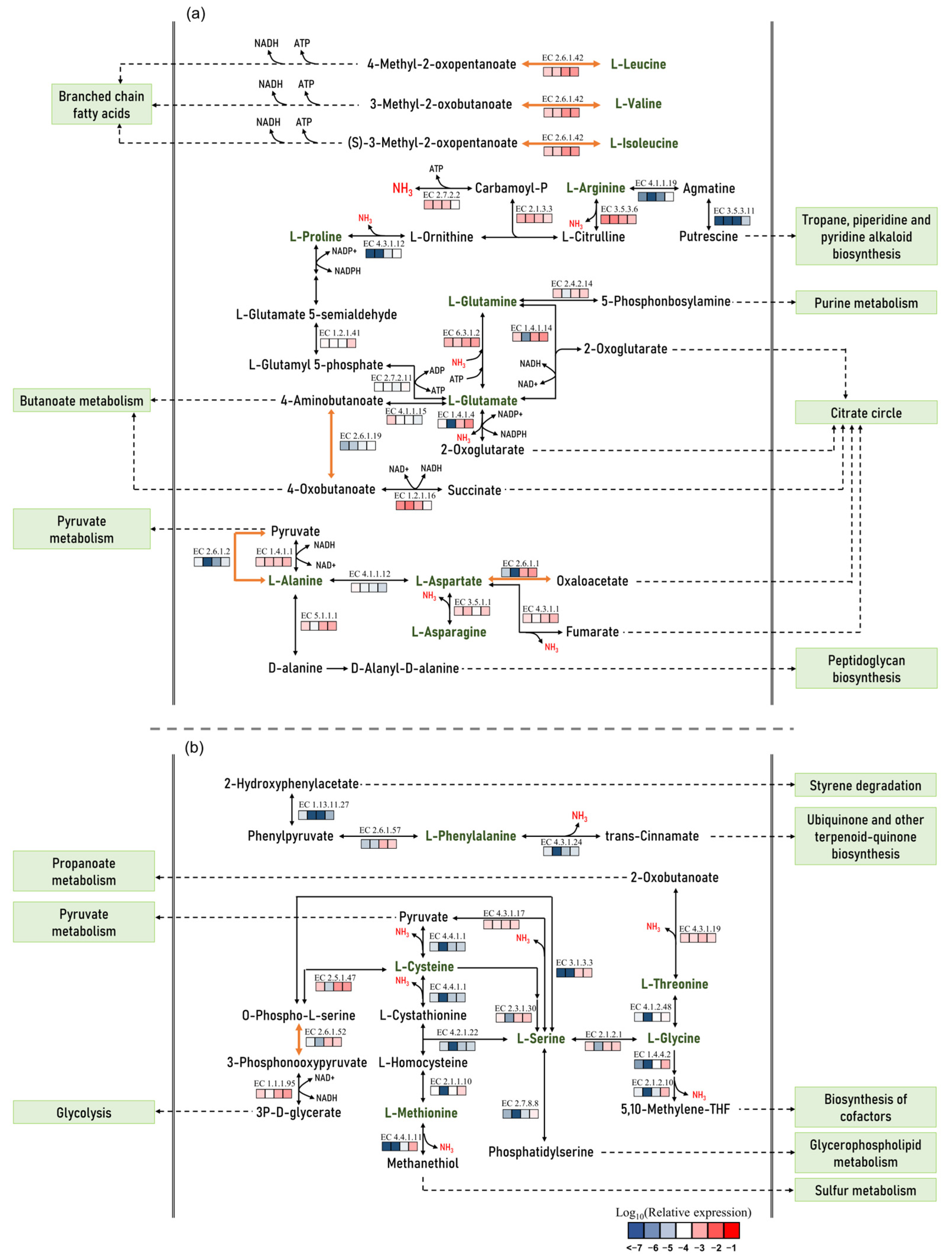 Fermentation 10 00129 g005
