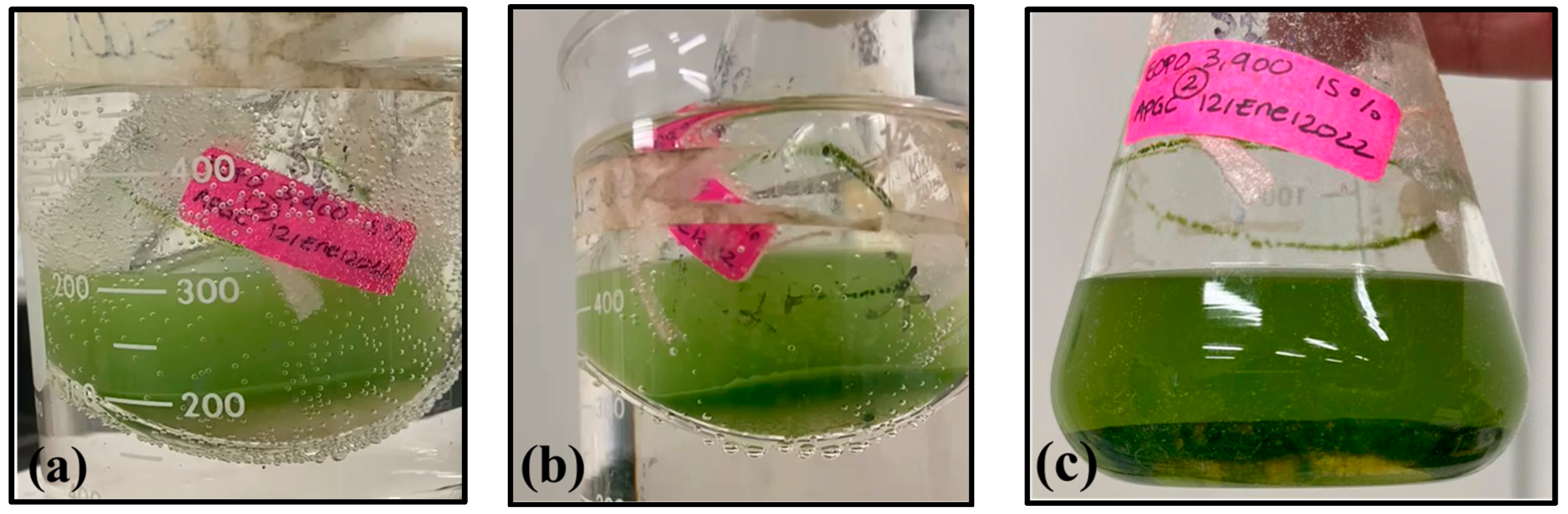 Fermentation 10 00130 g004