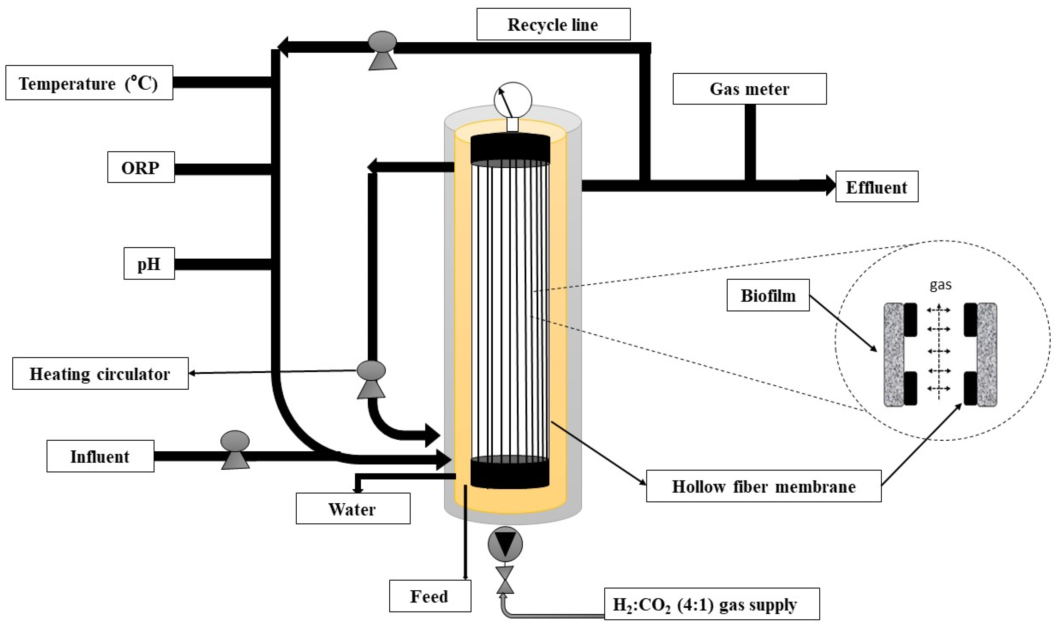 Fermentation 10 00131 g004