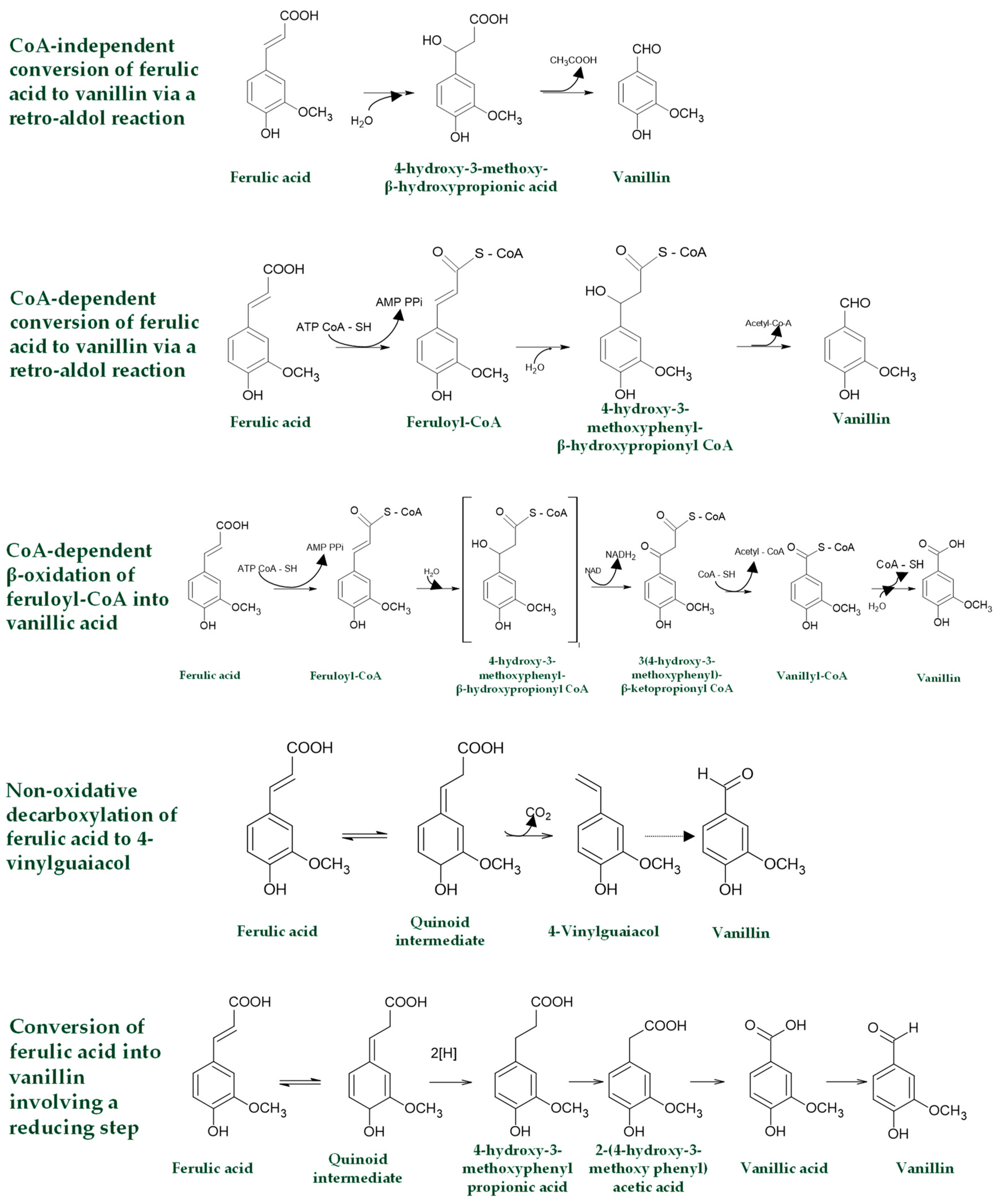 Fermentation 10 00132 g004
