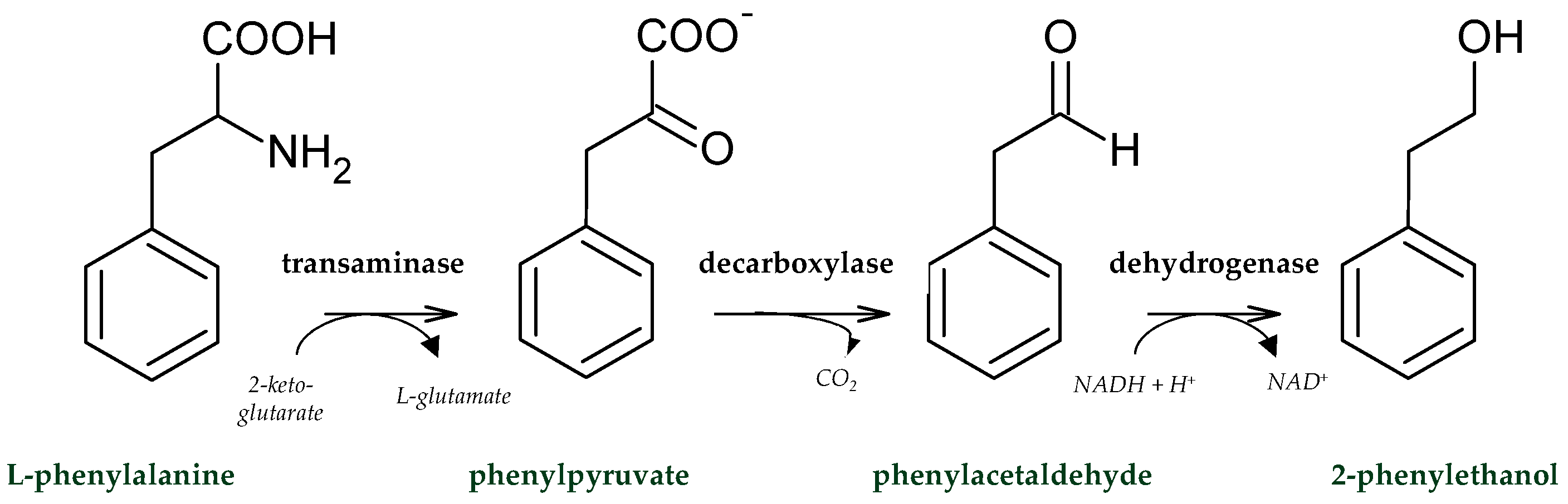 Fermentation 10 00132 g005