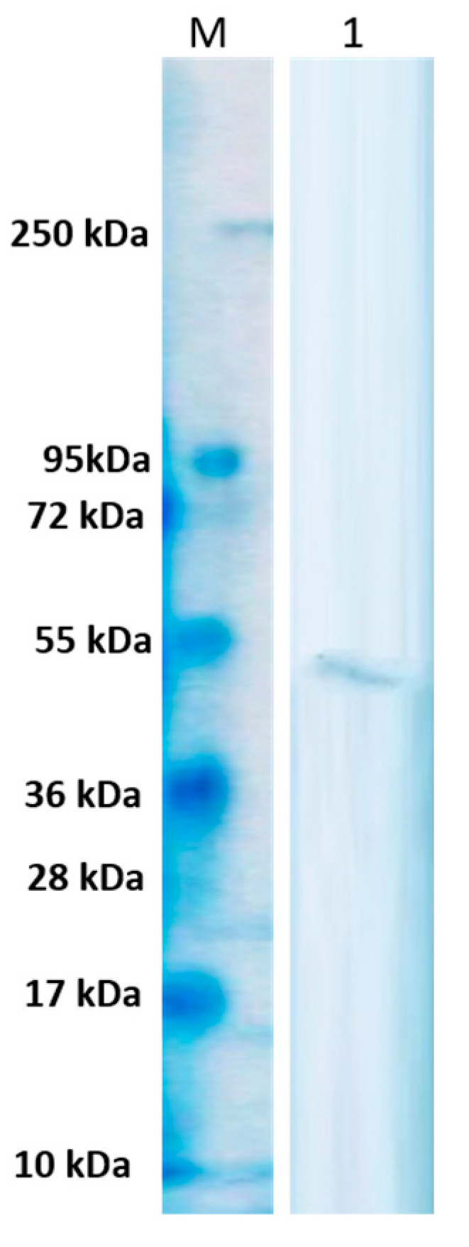 Fermentation 10 00139 g006